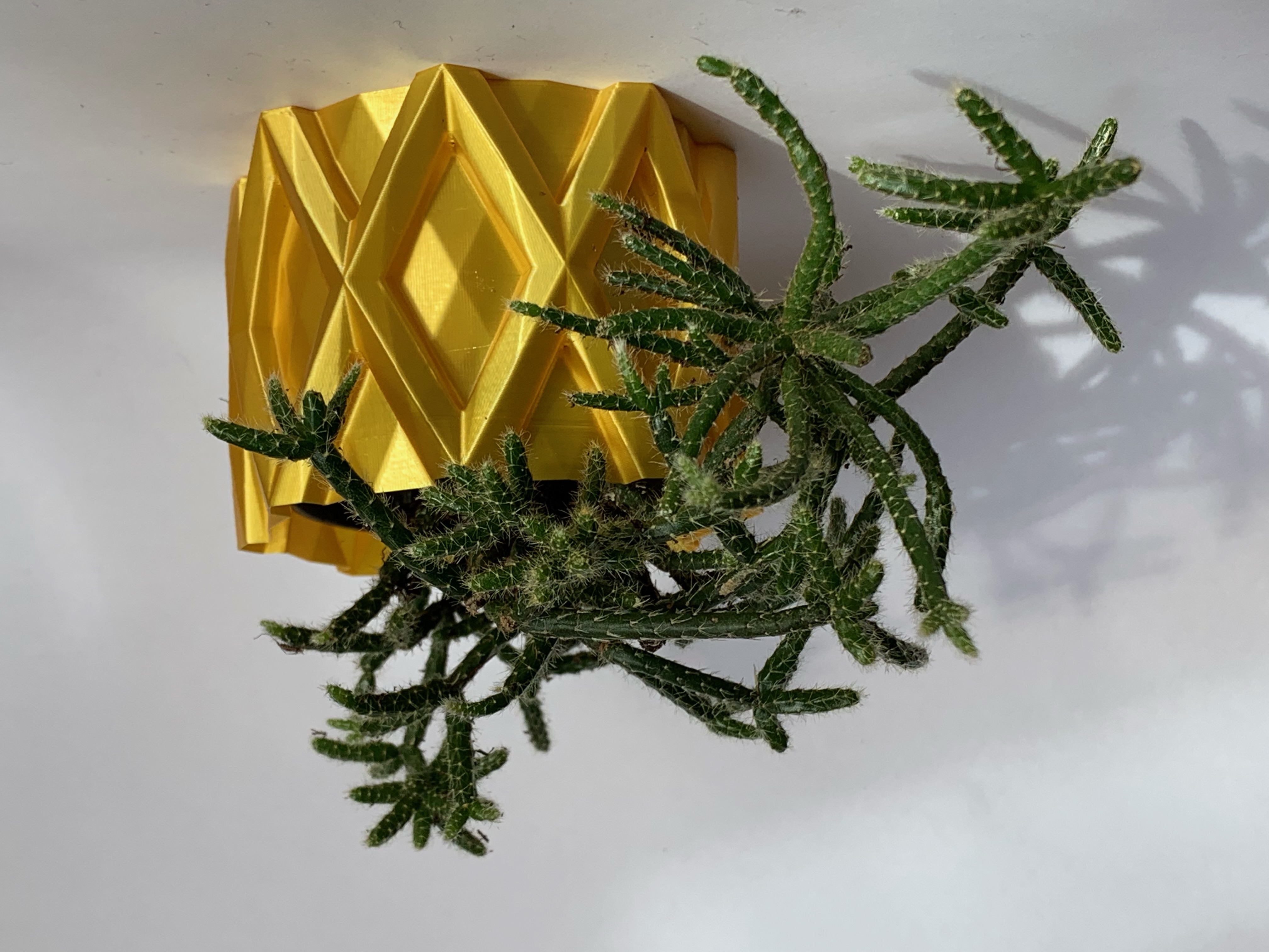 planter 1