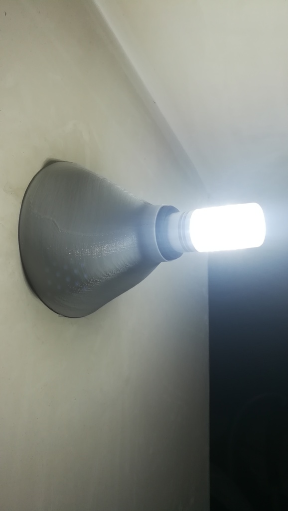 Organic wall lamp