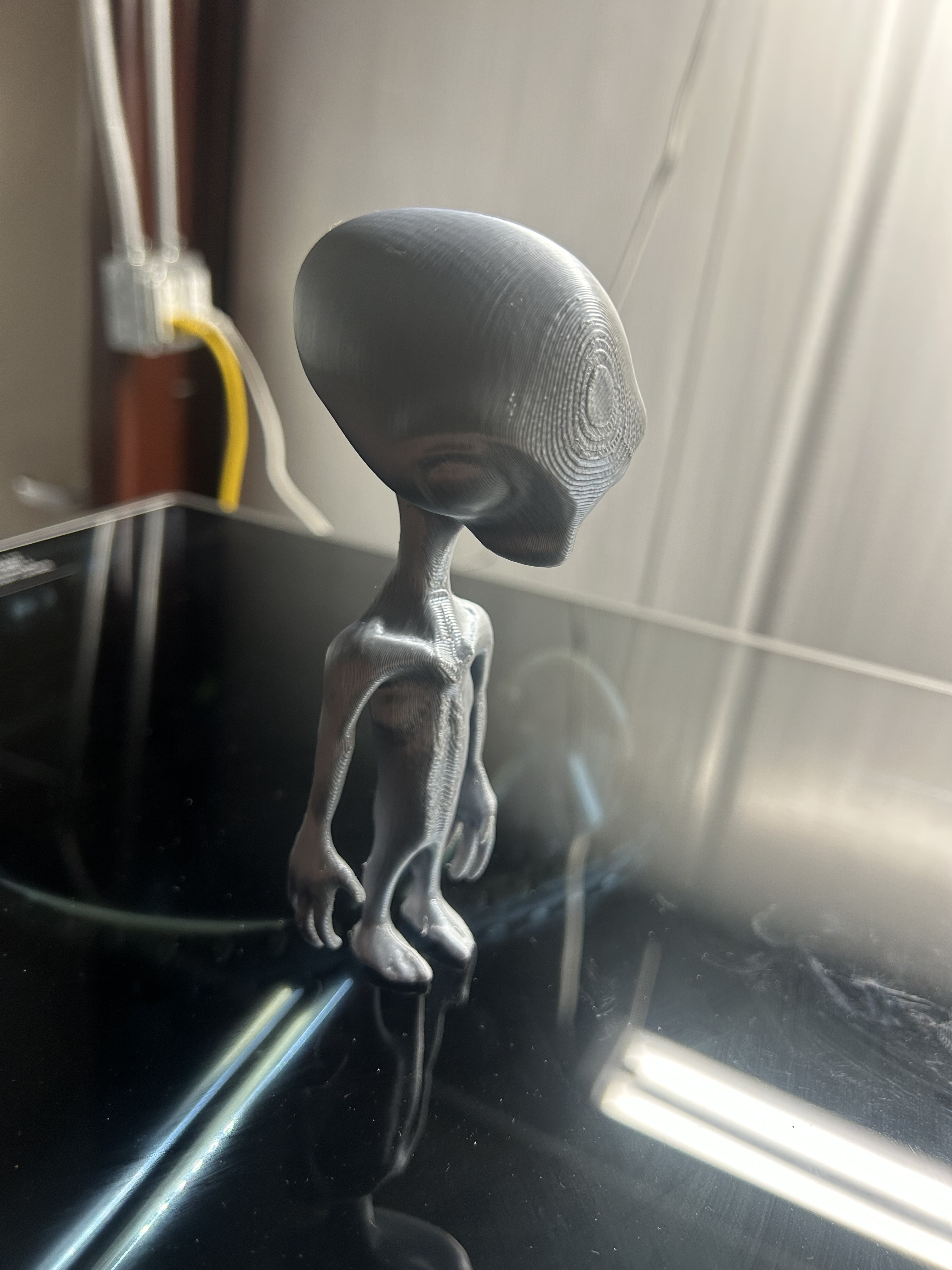 Harold the Grey Alien