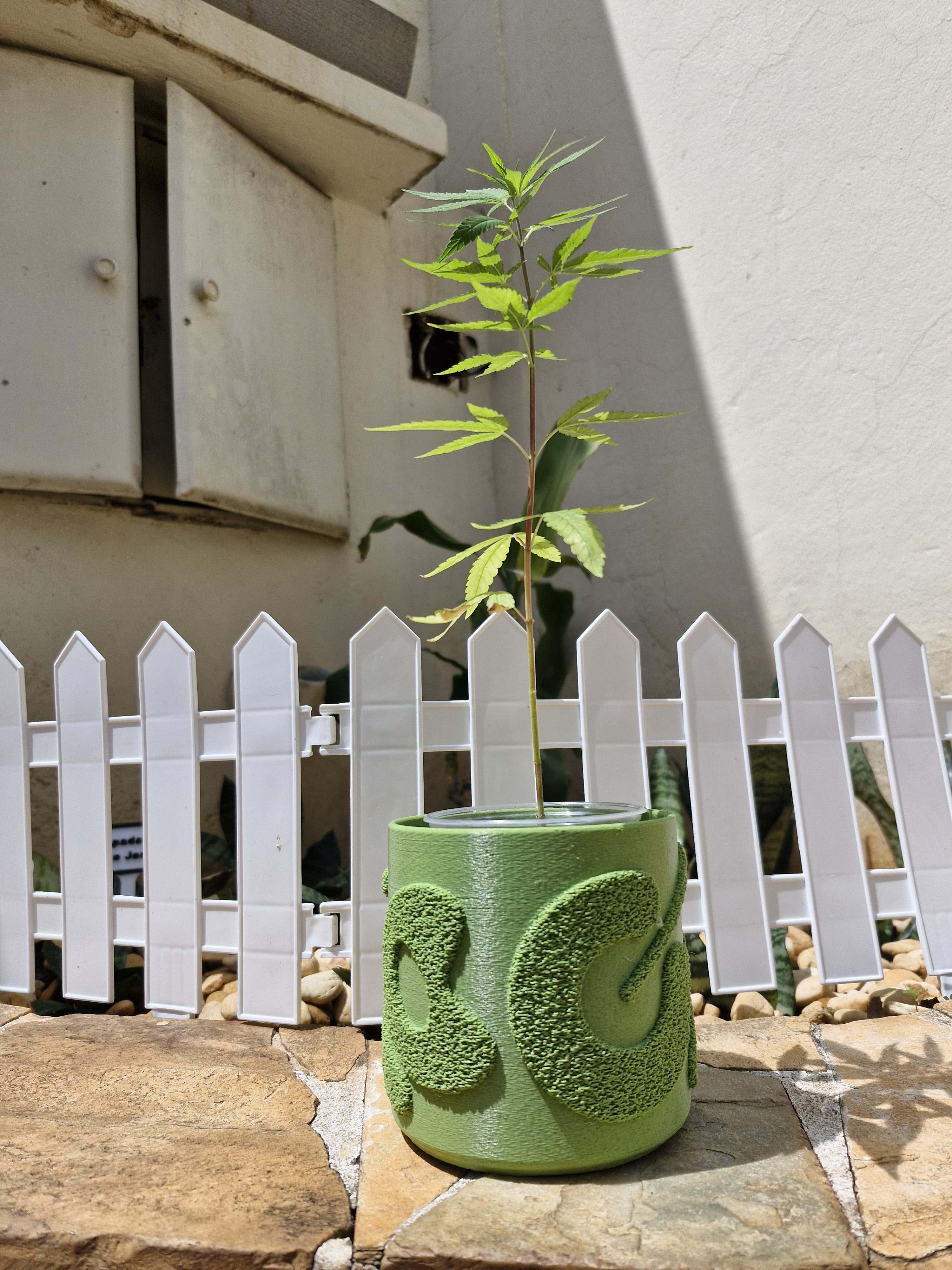 Miniatura 2 do modelo 3D Fuzzy pattern planter