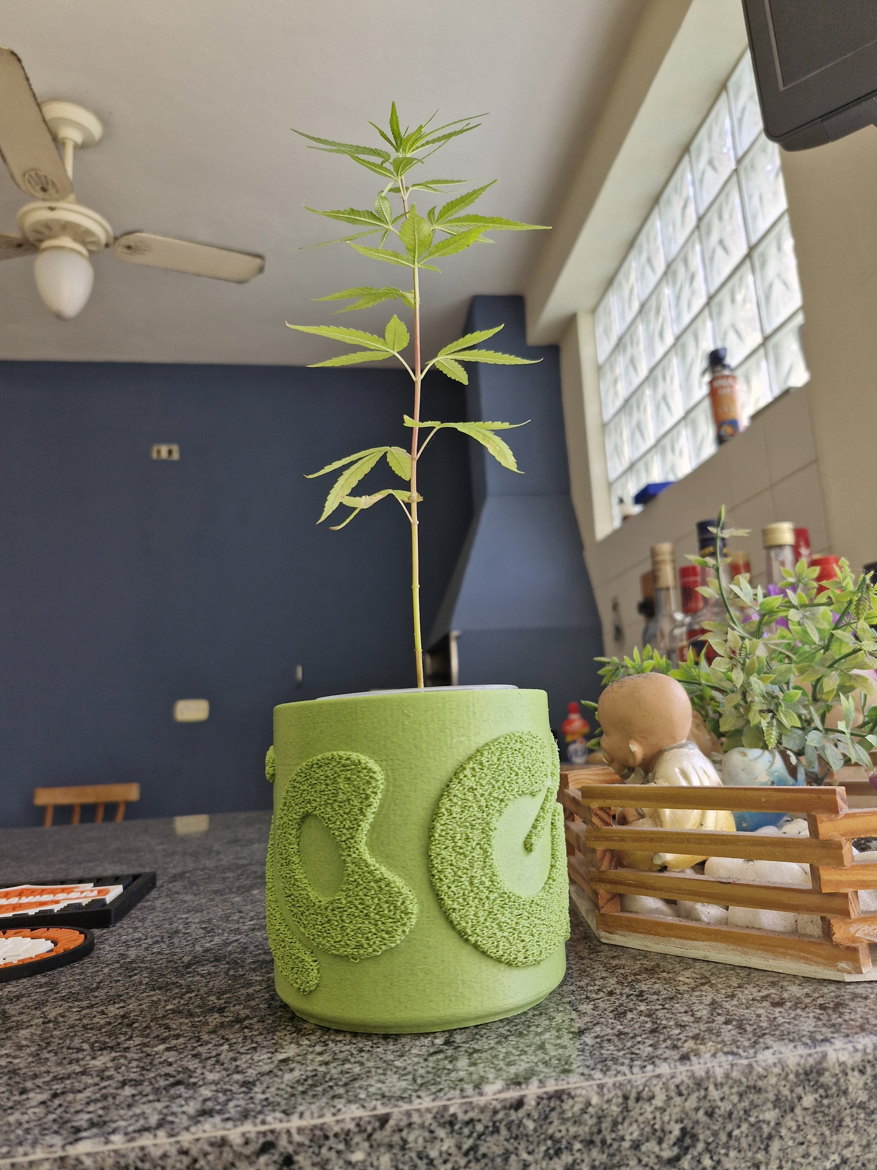 Miniatura 5 do modelo 3D Fuzzy pattern planter