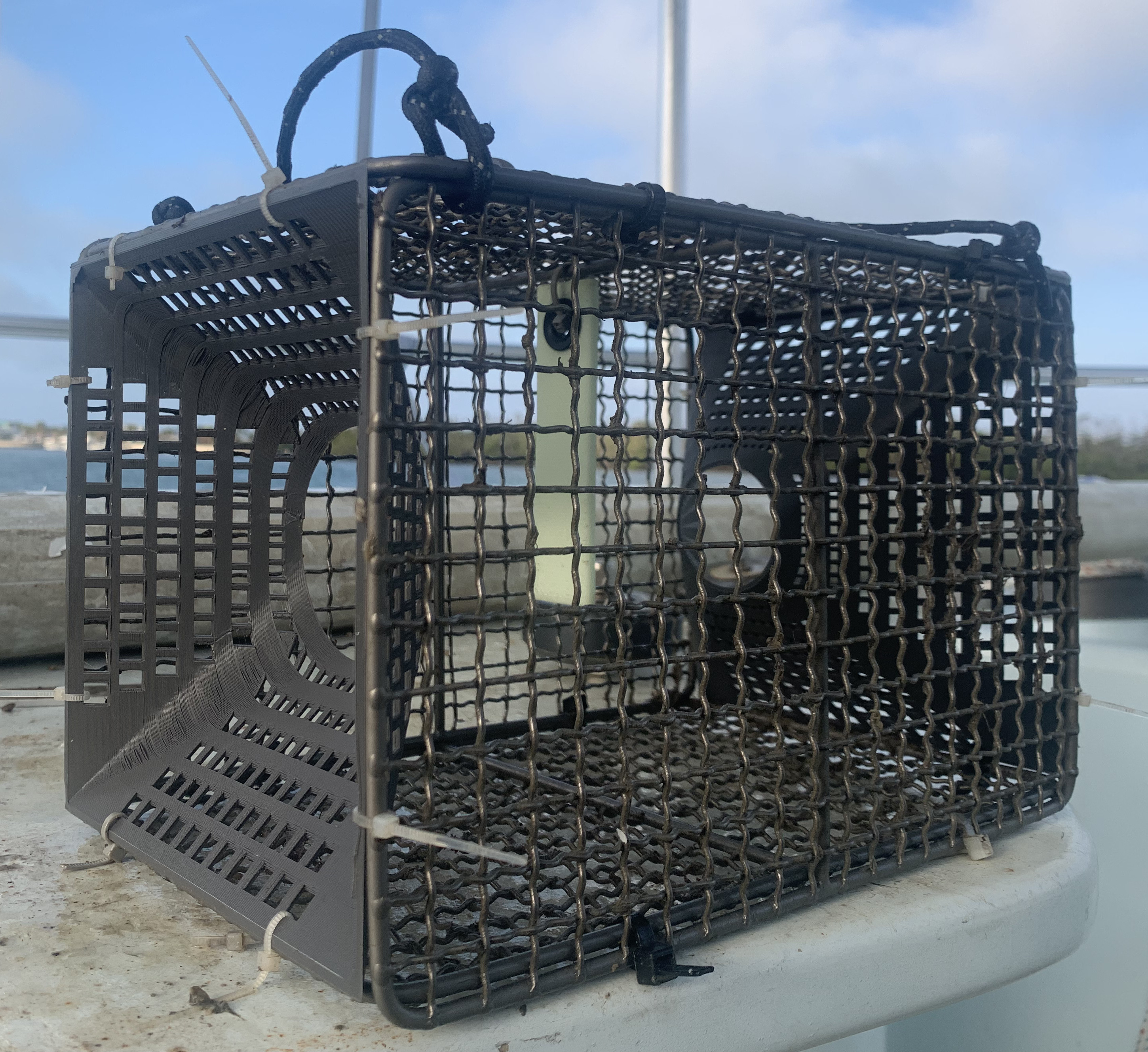 Titanium Bait Trap
