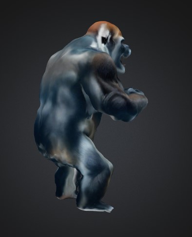 Gorilla standing up — thumbnail 10