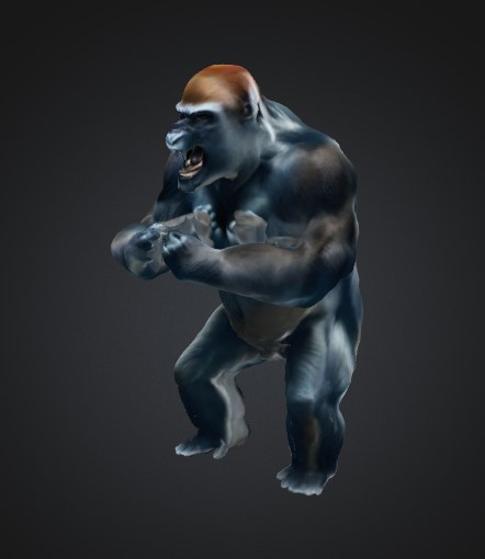 Gorilla standing up — thumbnail 9