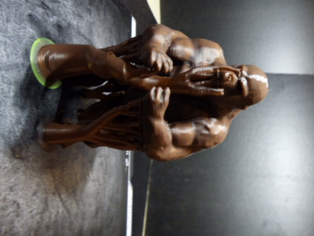 Gorilla standing up — thumbnail 7