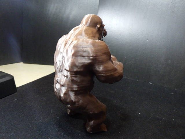 Gorilla standing up — thumbnail 5
