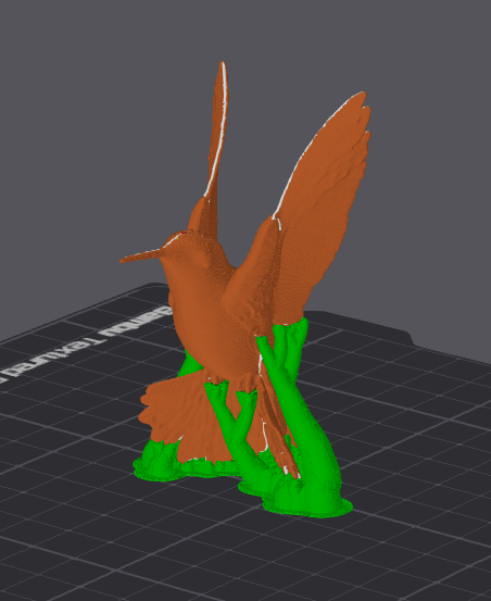 Hummingbird — thumbnail 4