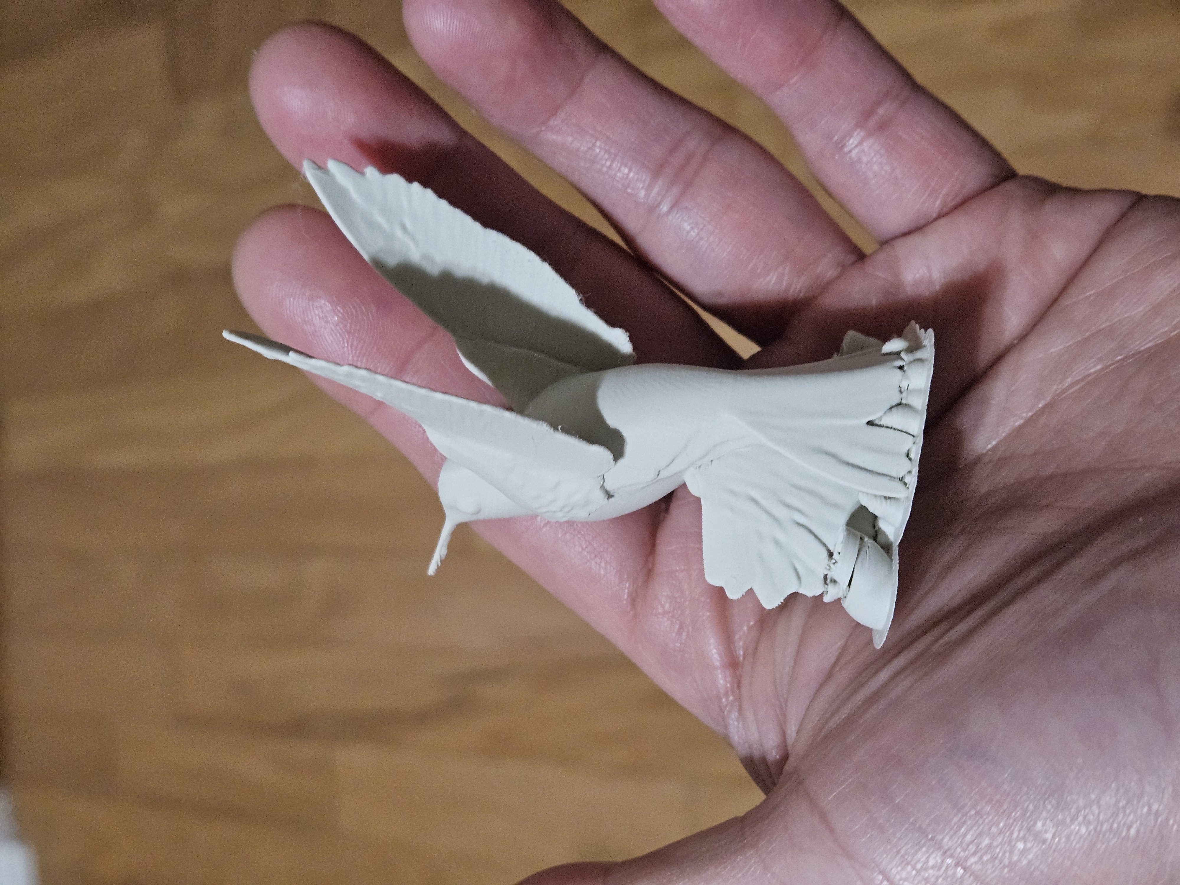 Hummingbird — thumbnail 3