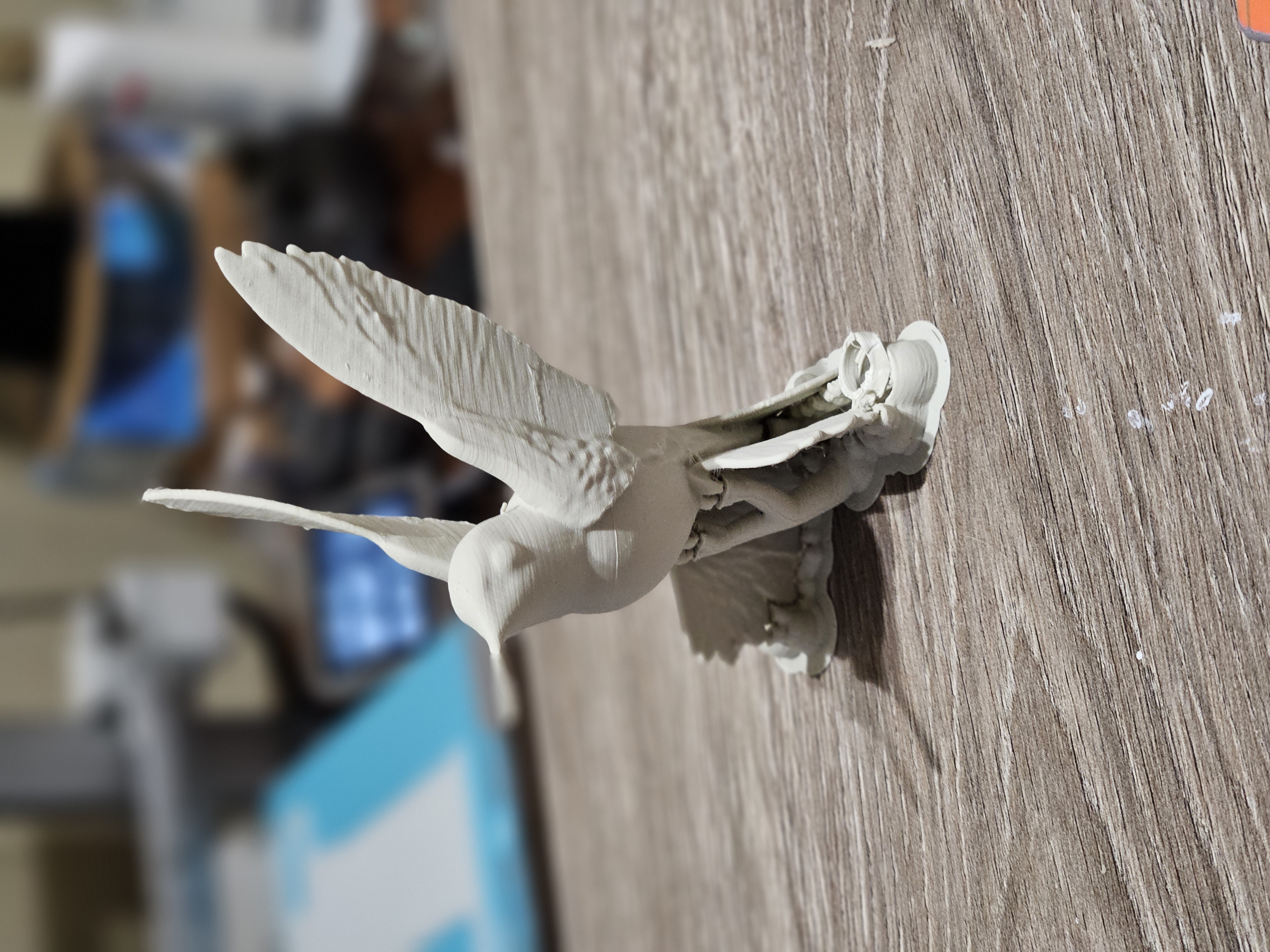 Hummingbird — thumbnail 2