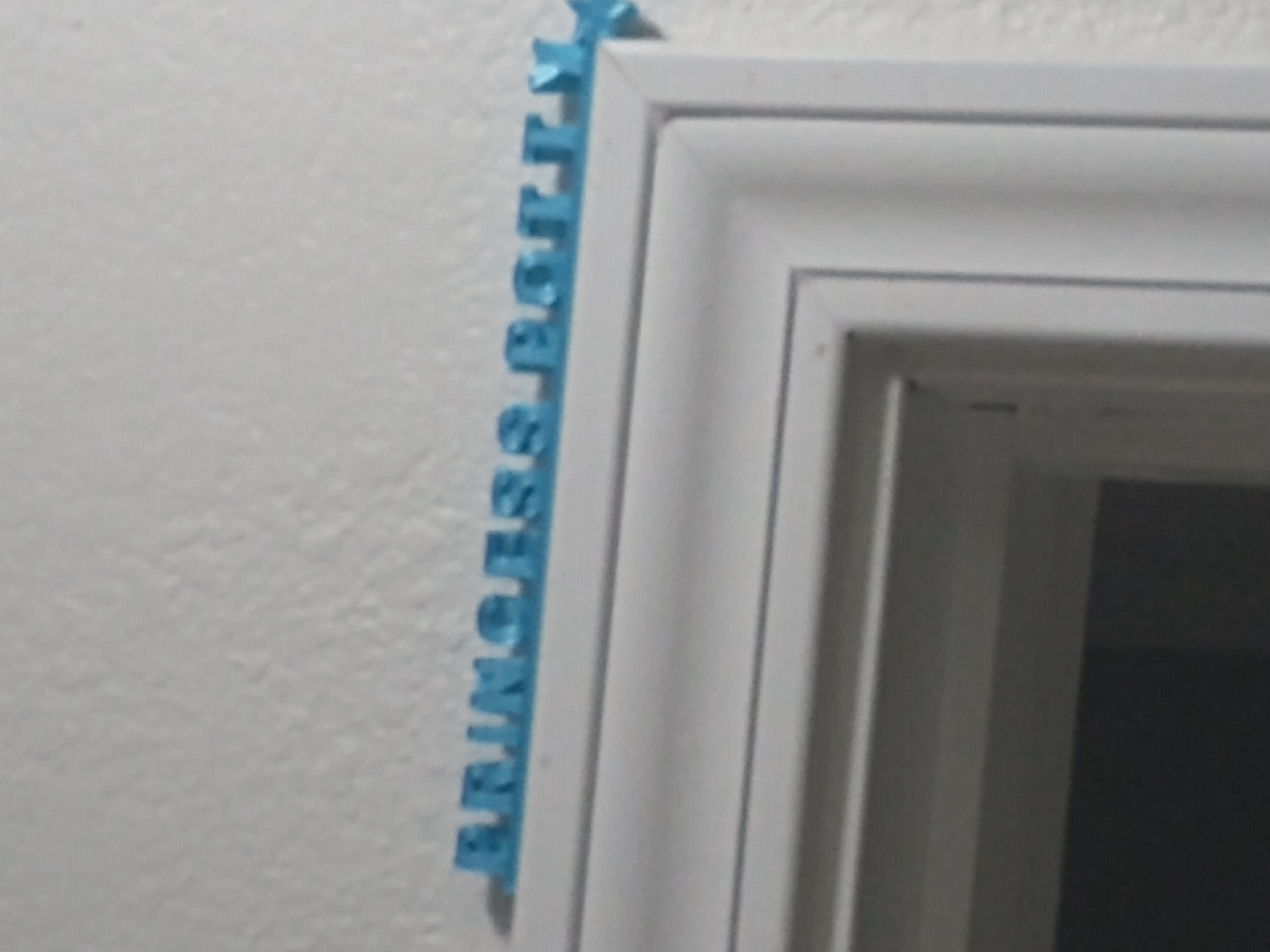princess potty bathroom sign