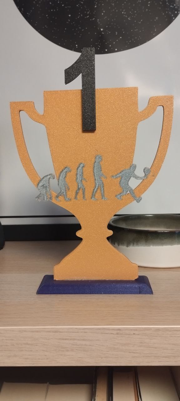 Trofeo padel trophy
