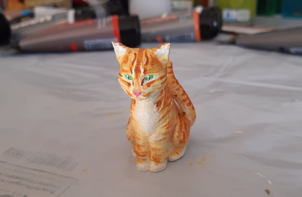 Tigerlee the Cat