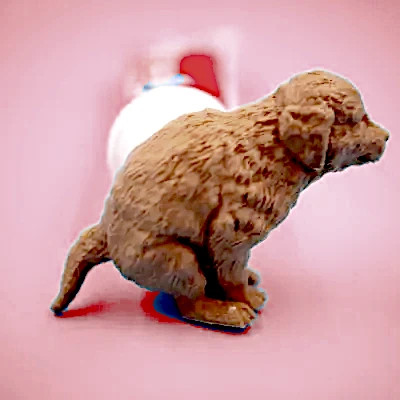Pooping Dog Toothpaste Dispenser - Scaled to fit Colgate Toothpaste
