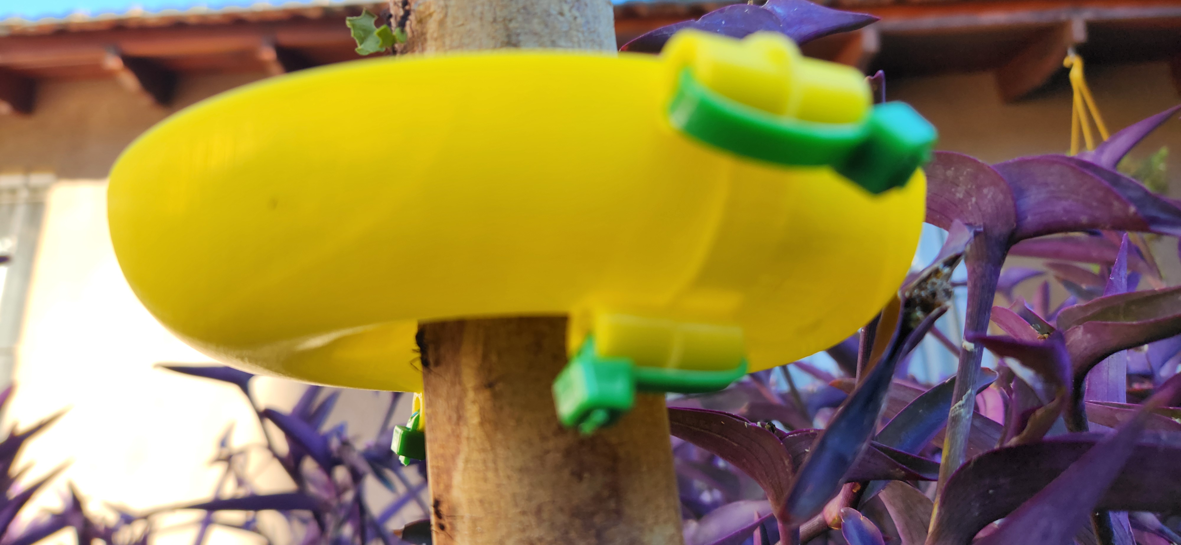 Tree bug guard - trap