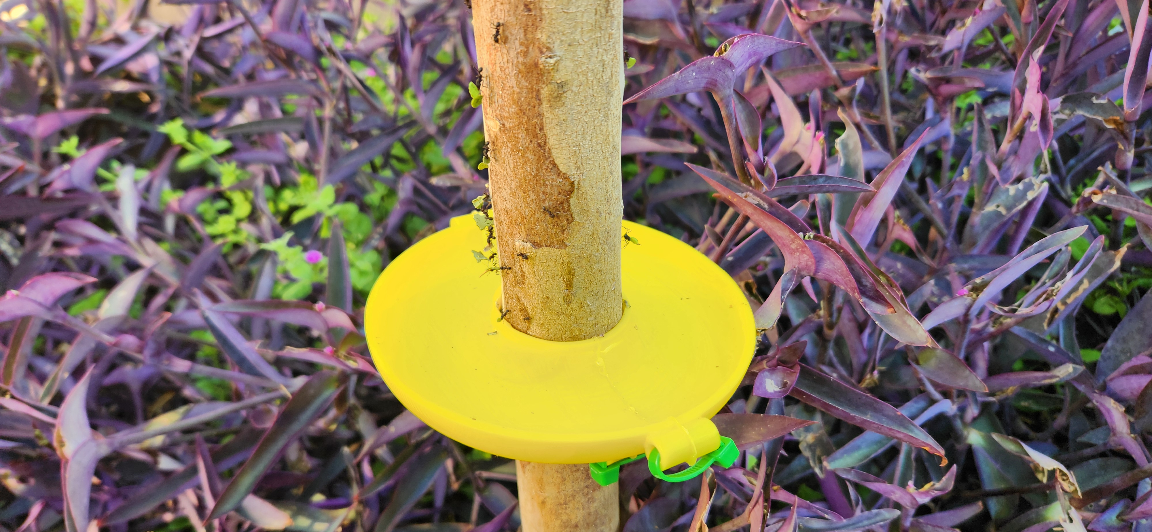 Miniatura 2 do modelo 3D Tree bug guard - trap