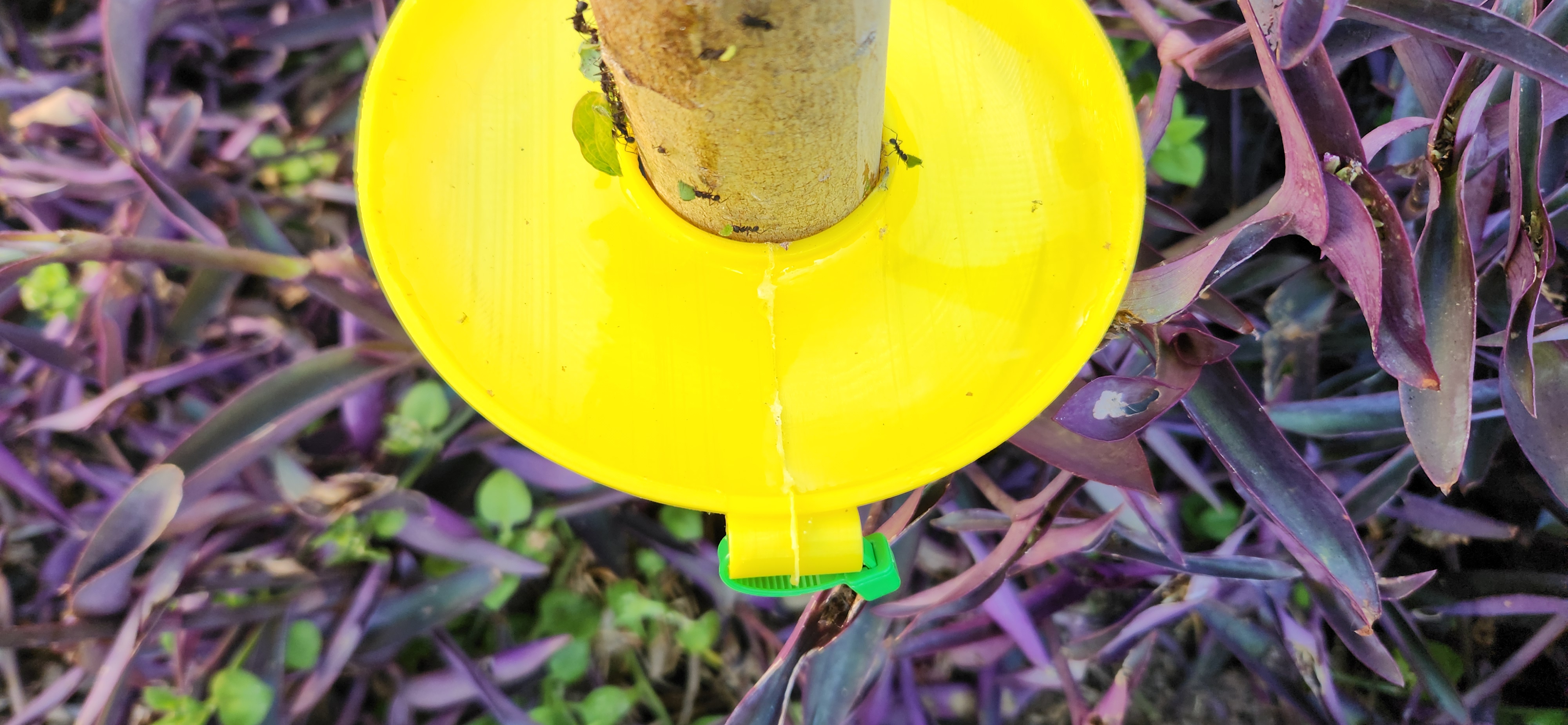 Miniatura 3 do modelo 3D Tree bug guard - trap