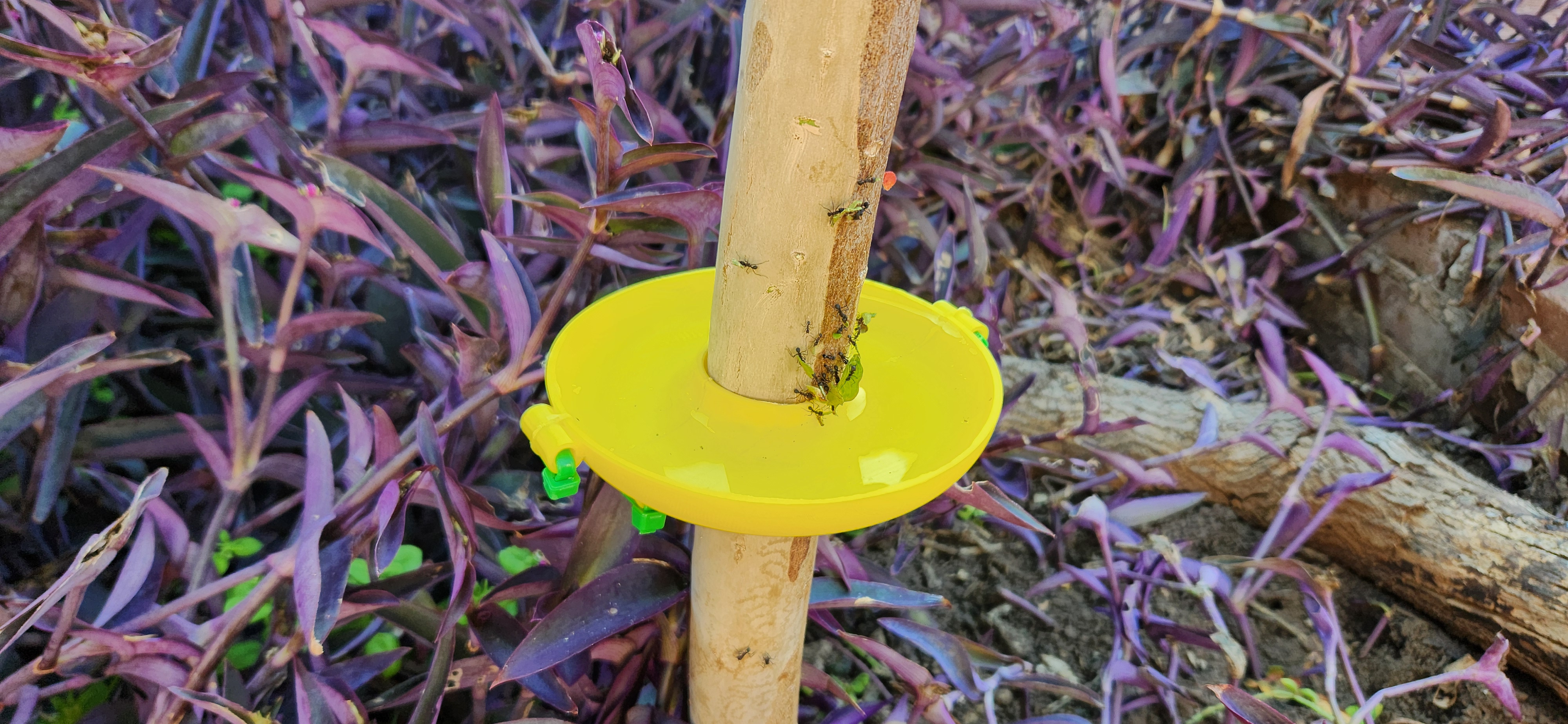 Miniatura 4 do modelo 3D Tree bug guard - trap