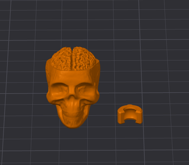 Dummy 13 Skull Head with exposed brain
