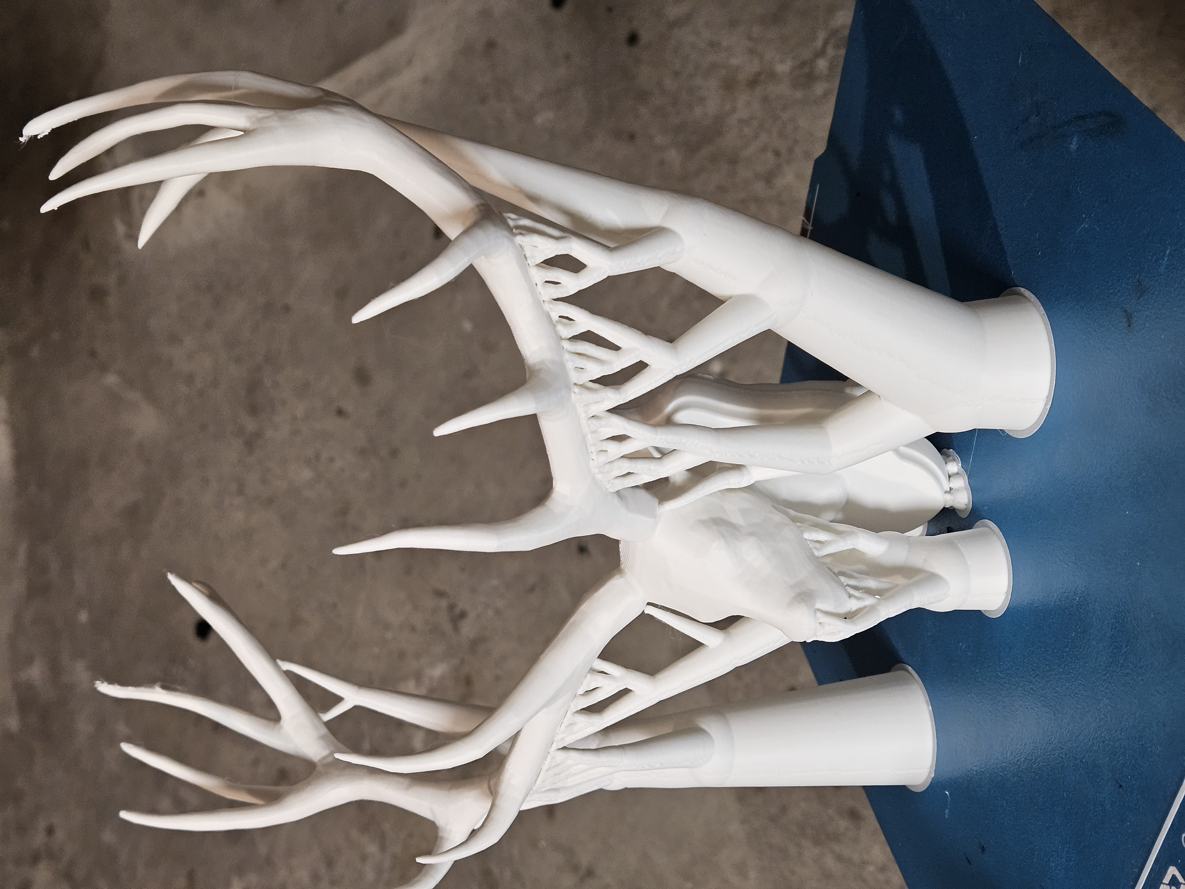 Antler Display — miniatura 3