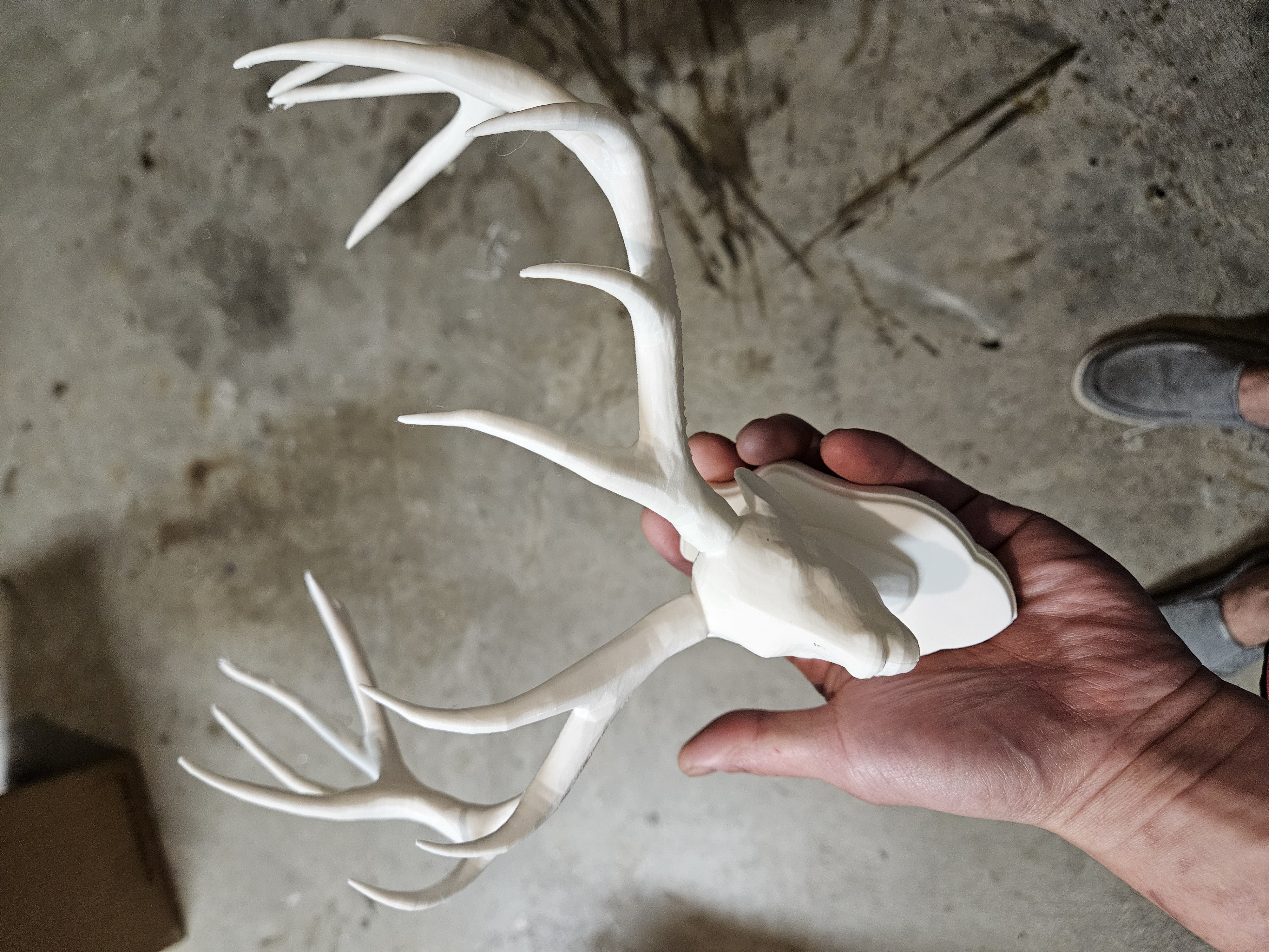 Antler Display — miniatura 2