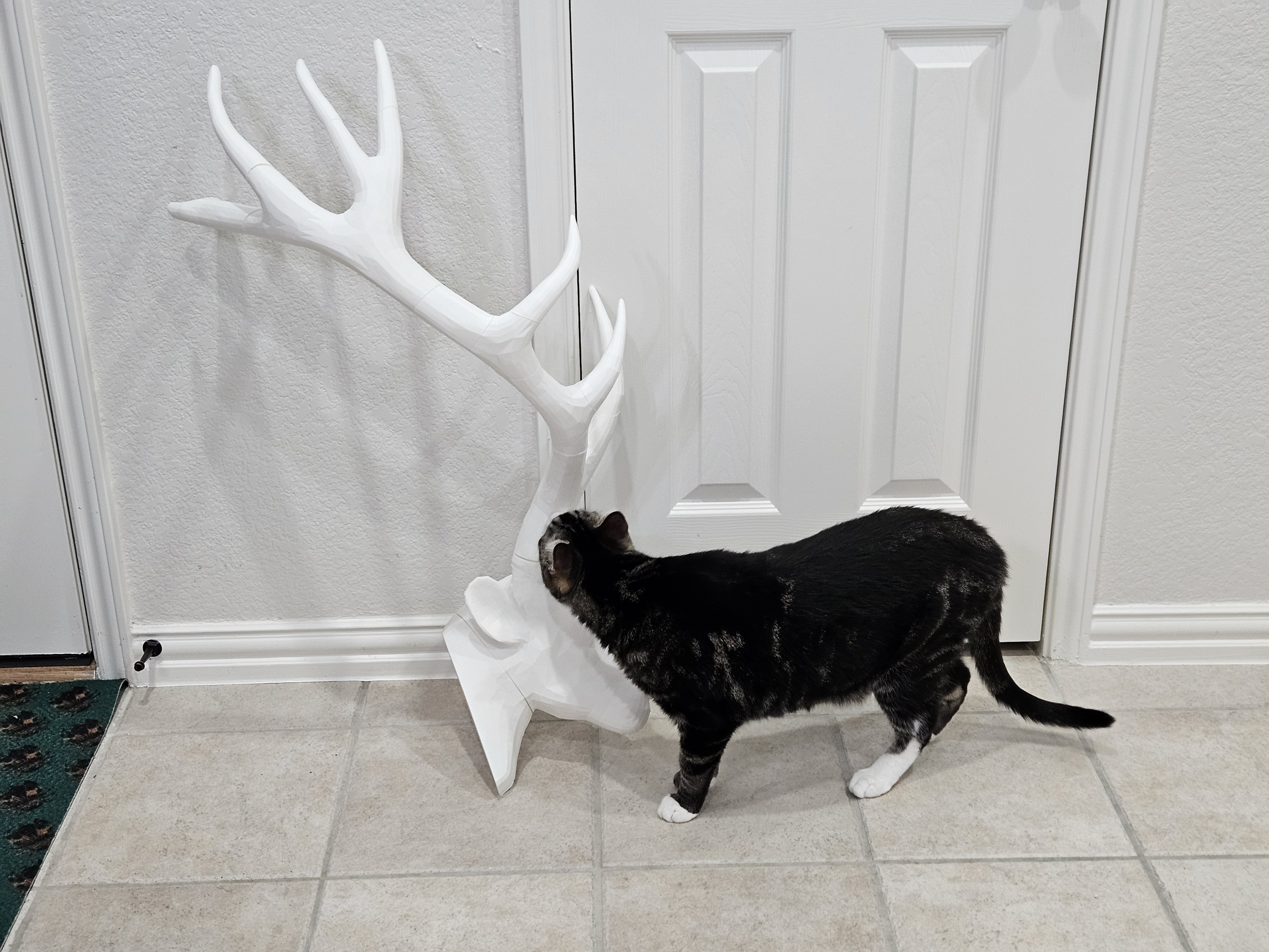Antler Display — miniatura 4