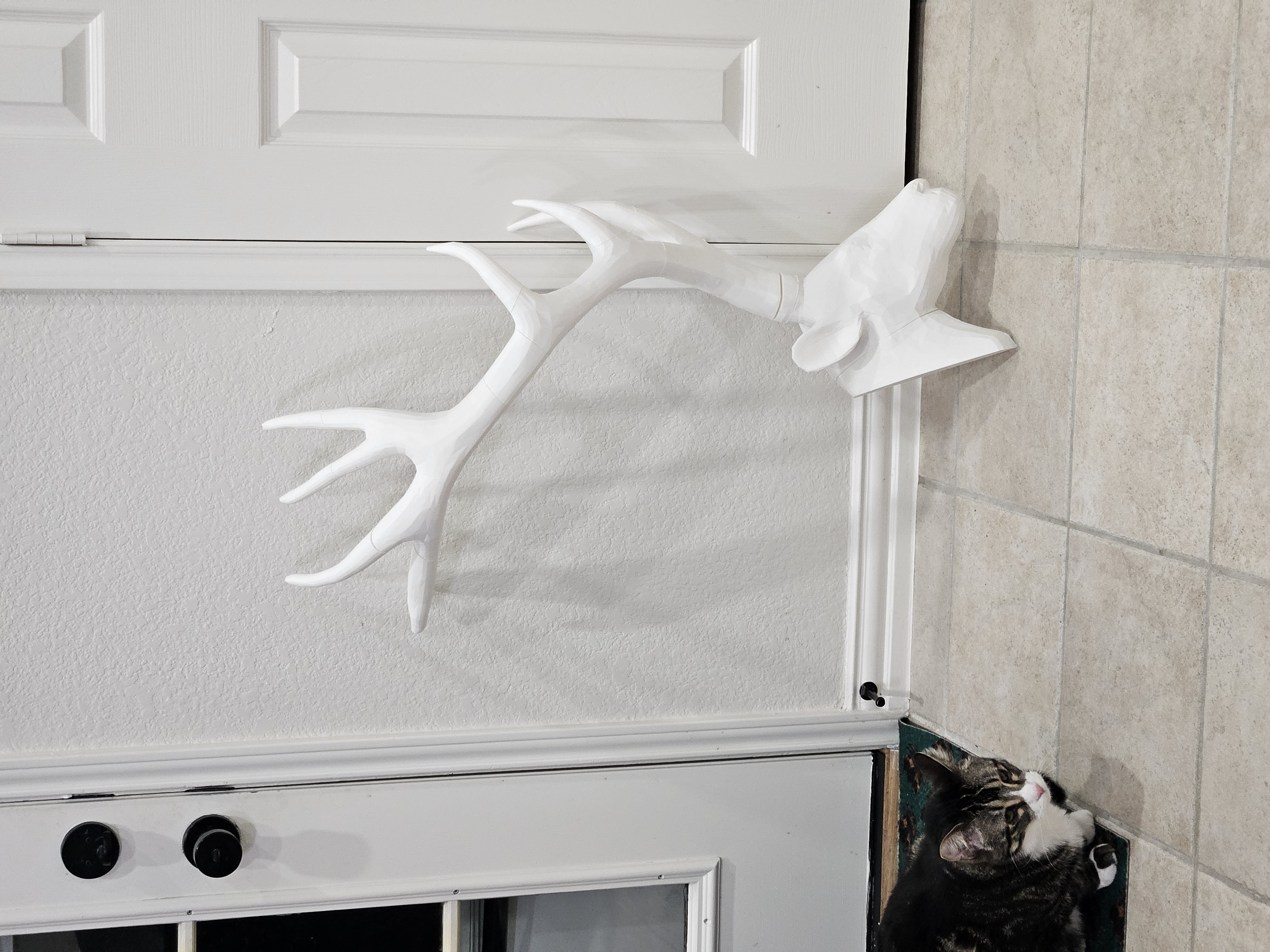 Antler Display