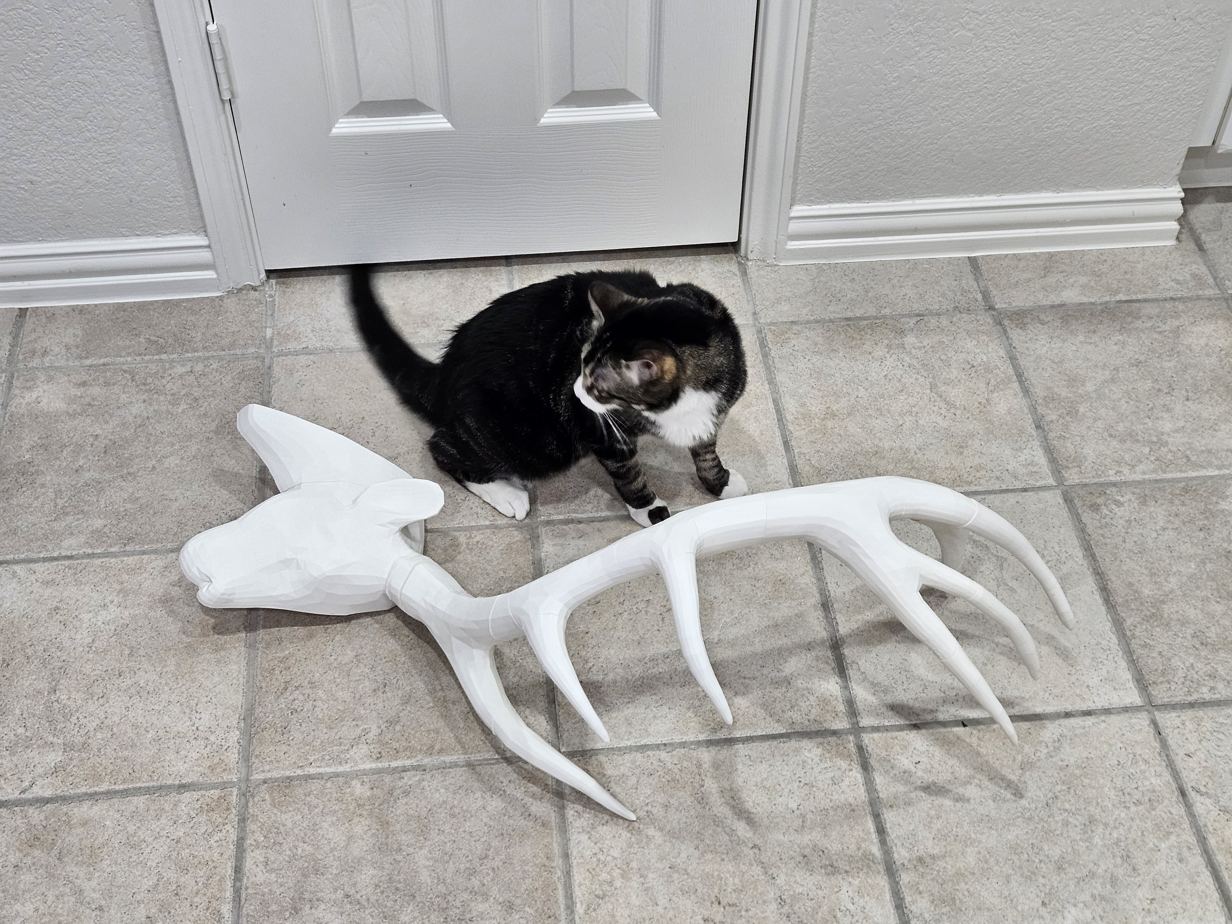 Antler Display — miniatura 5