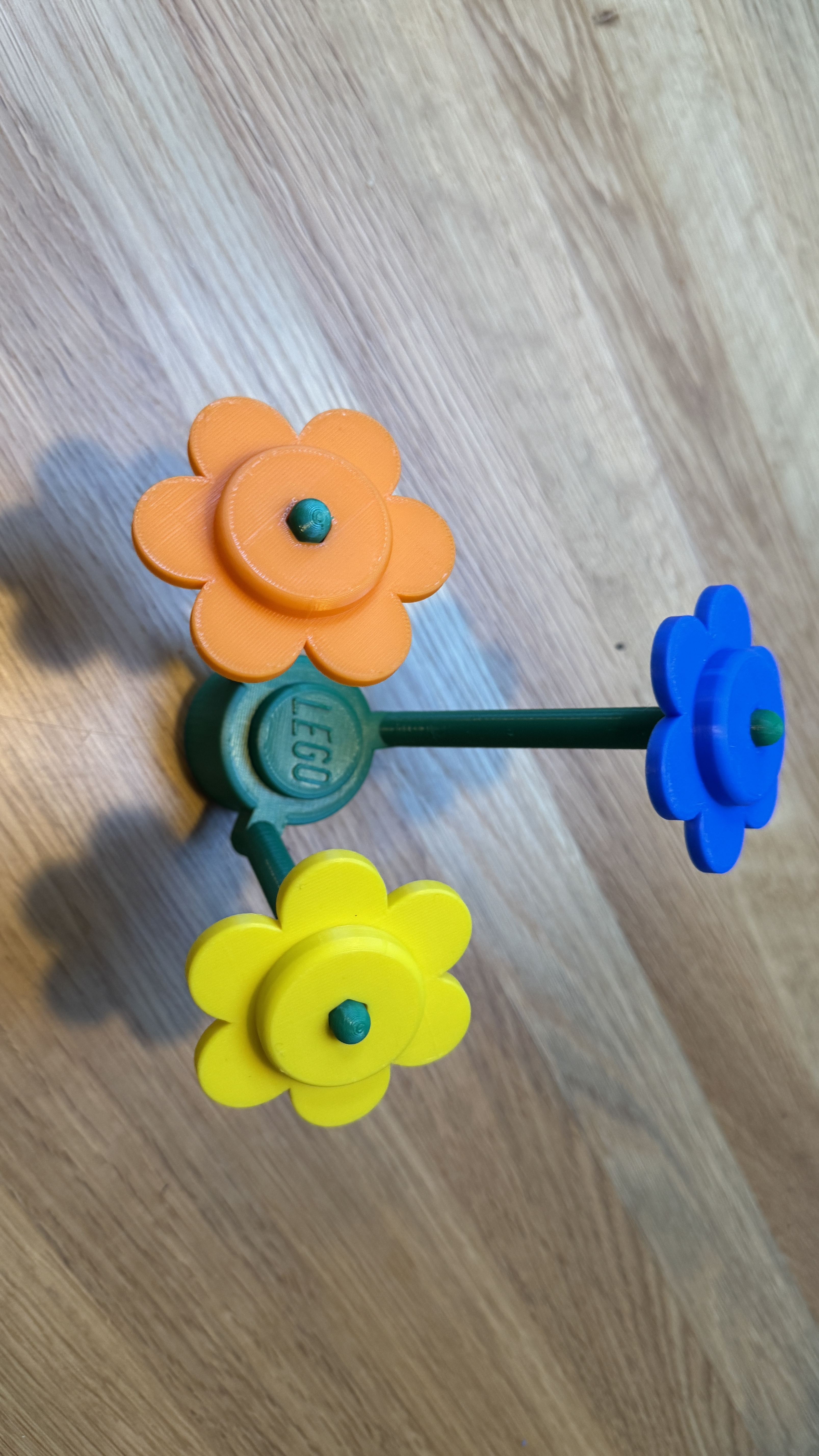 A flat flower