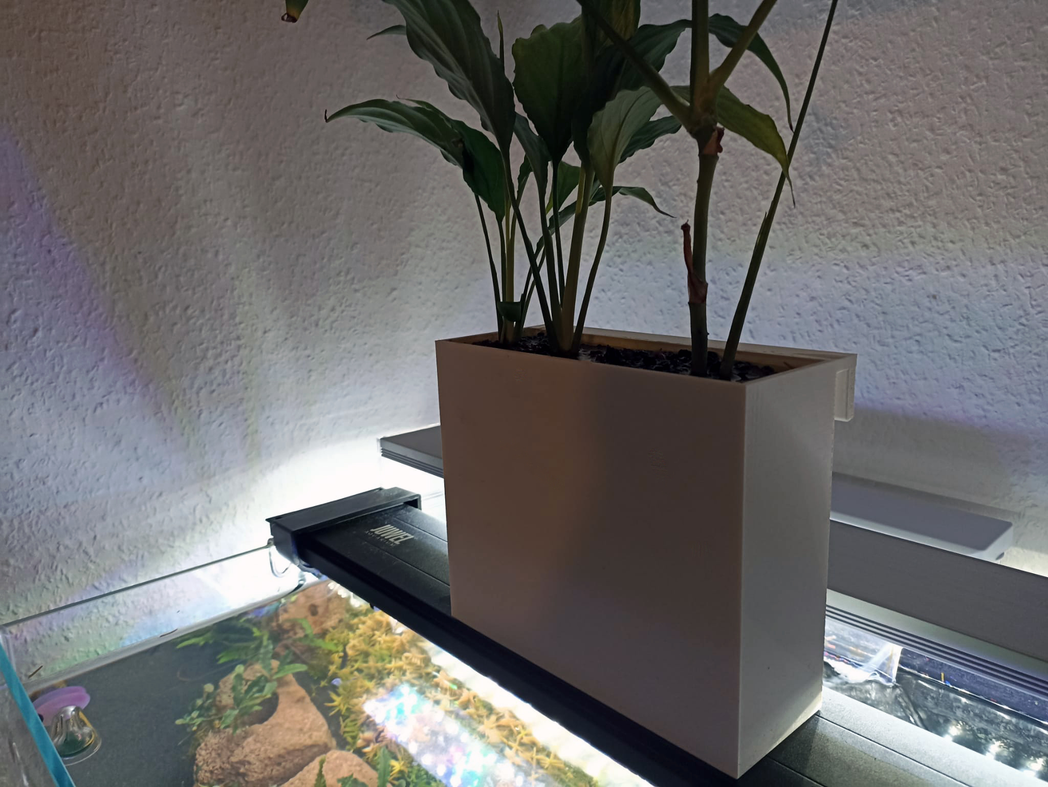 Plan Pot for Aquarium