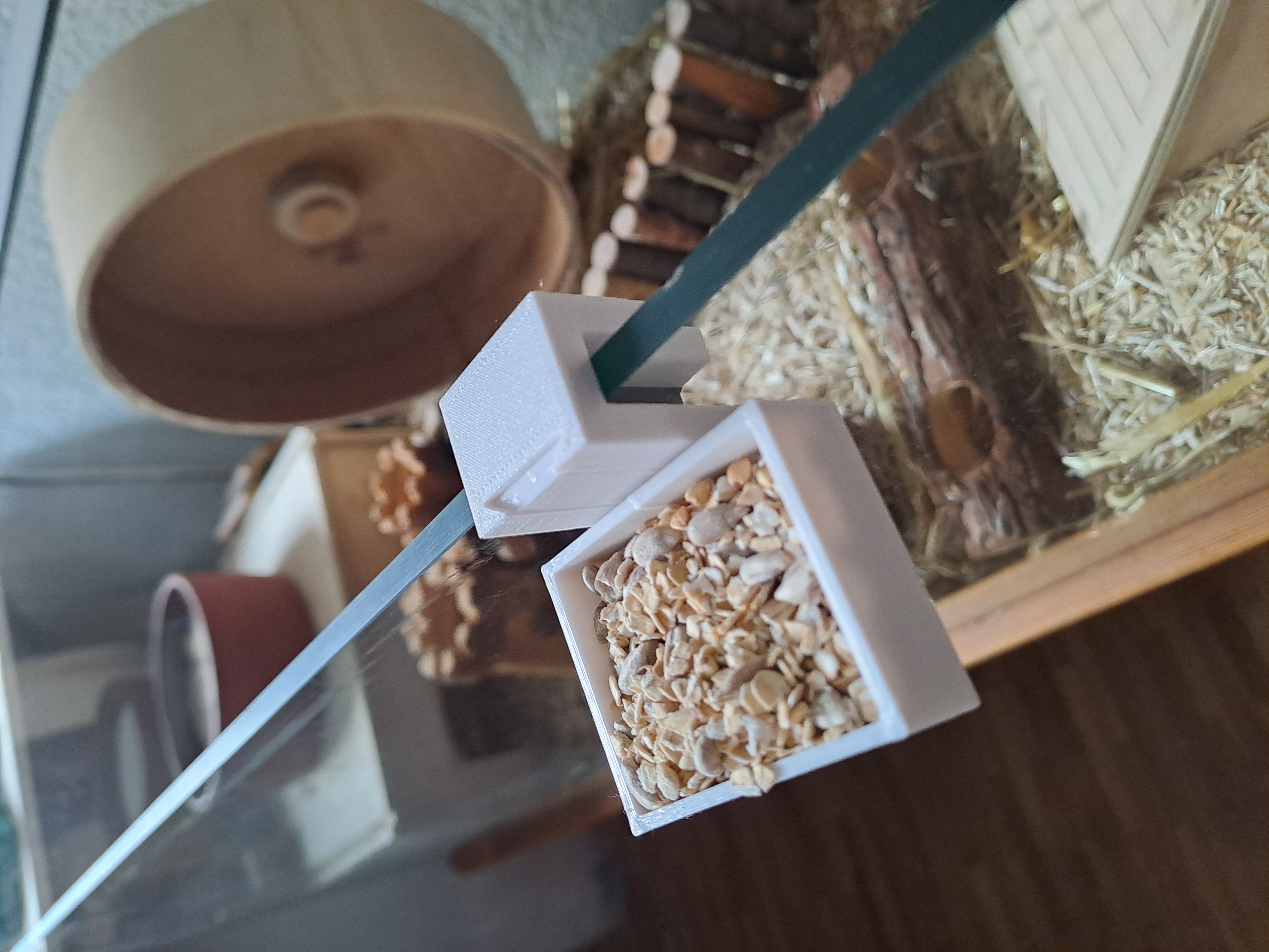 Hamster treat holder — miniatura 2