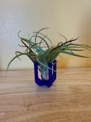 Air Plant Holder - Parametric