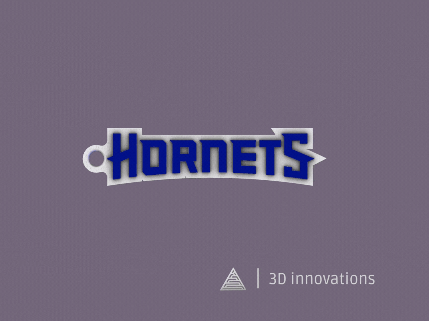 CHARLOTTE HORNETS KEYCHAIN