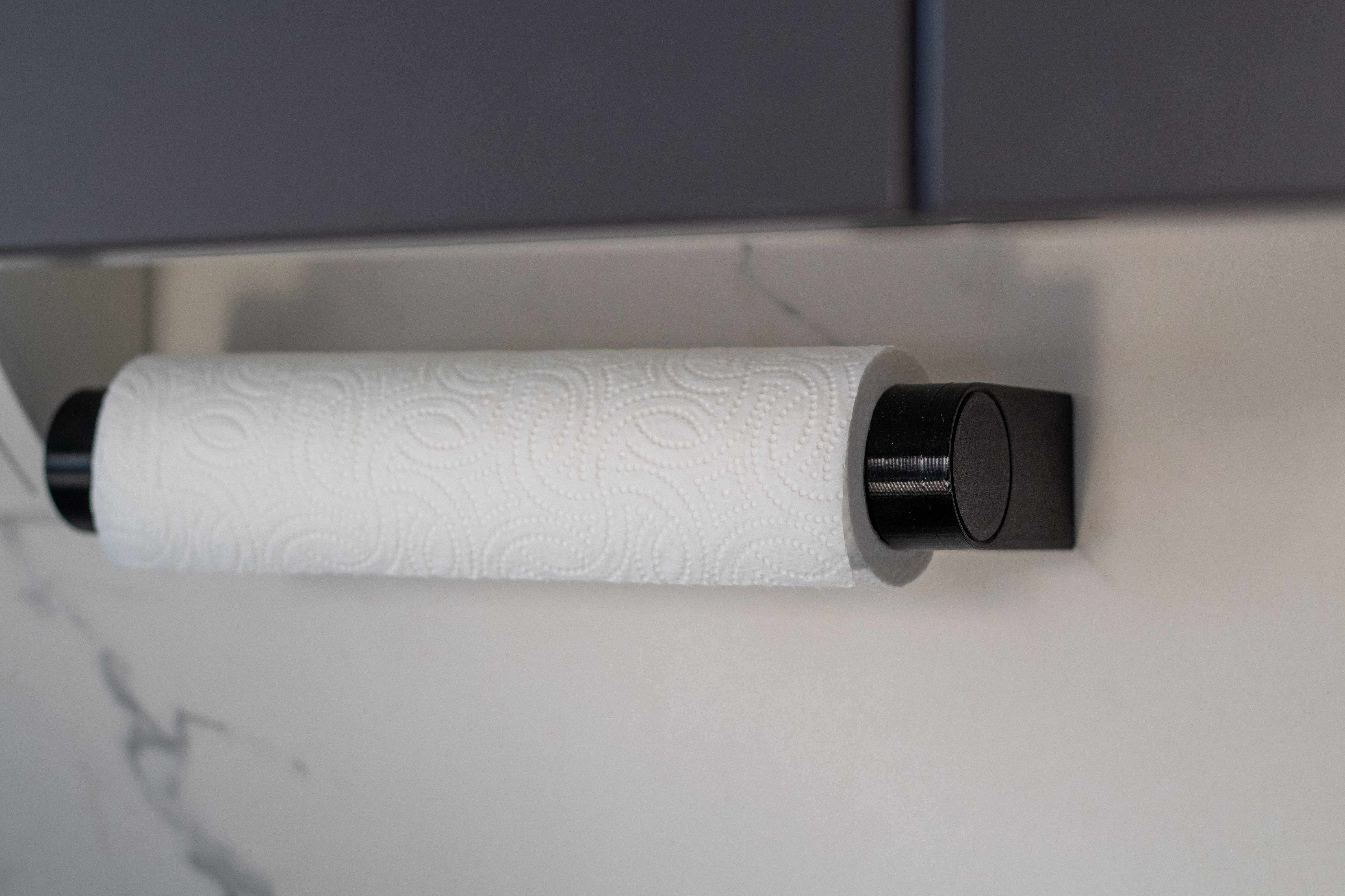 Paper towel holder (Quick swap, no support)