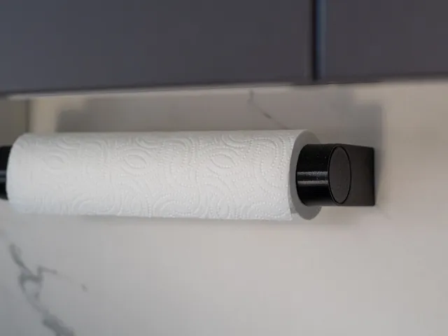 Paper towel holder (Quick swap, no support)