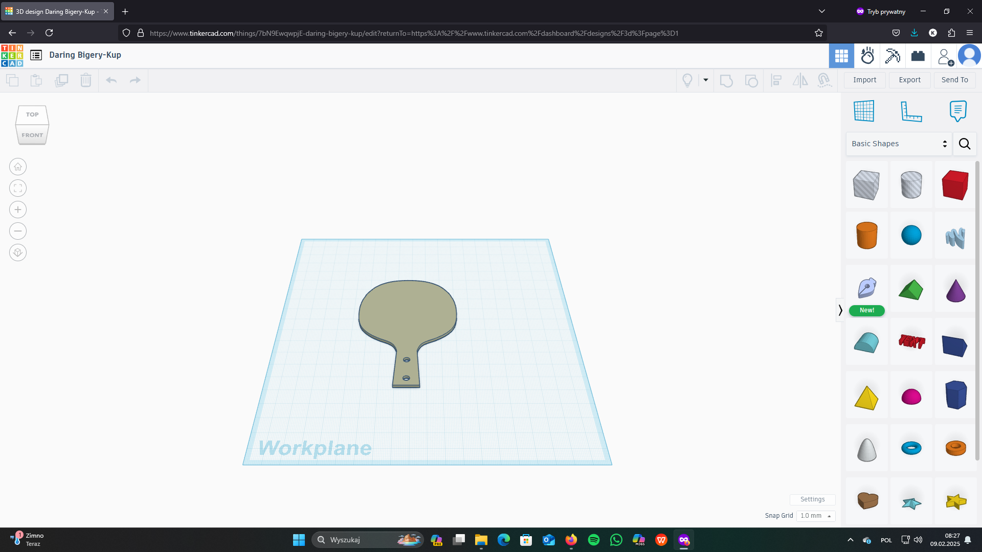 ping pong paddle