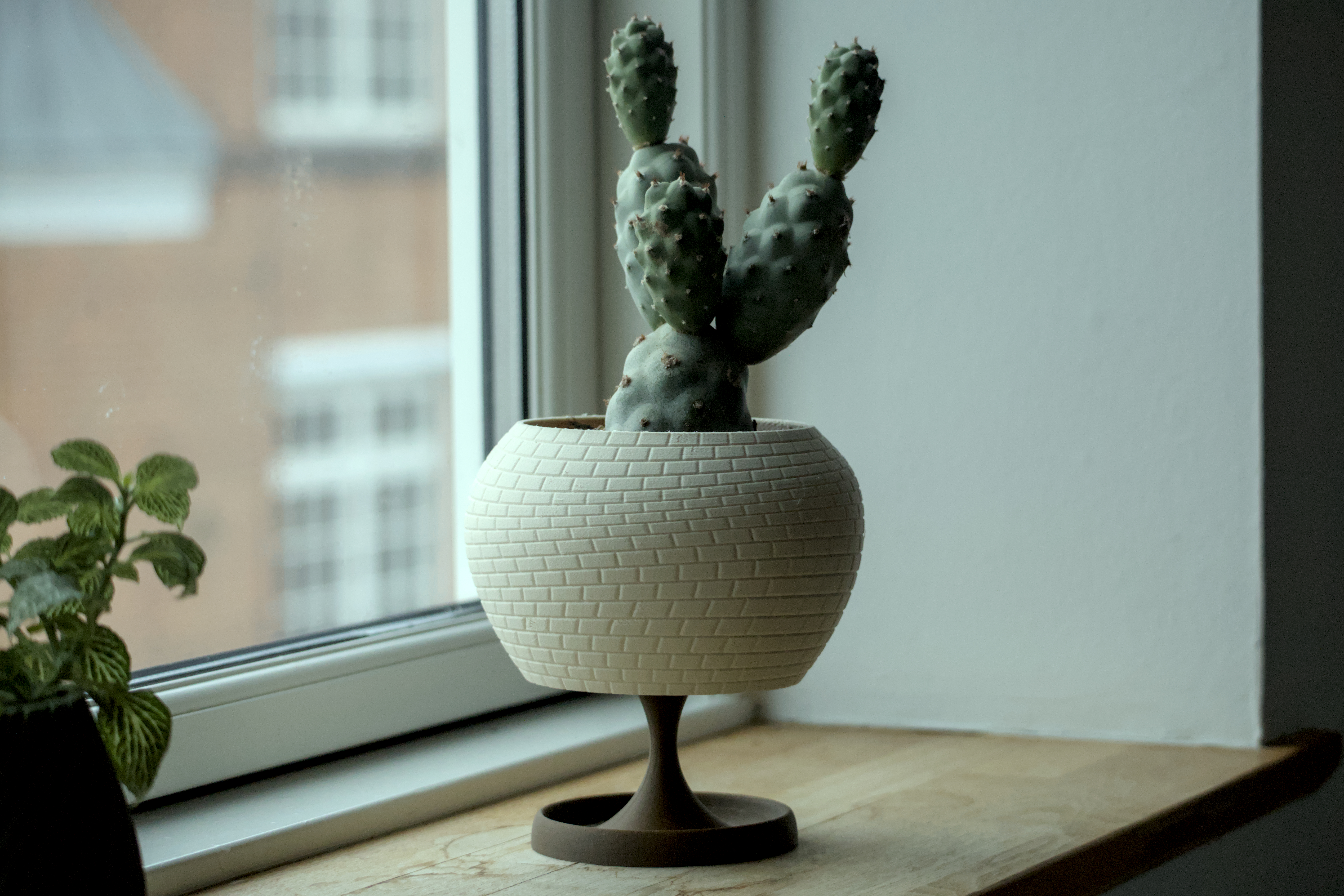 Pot 22