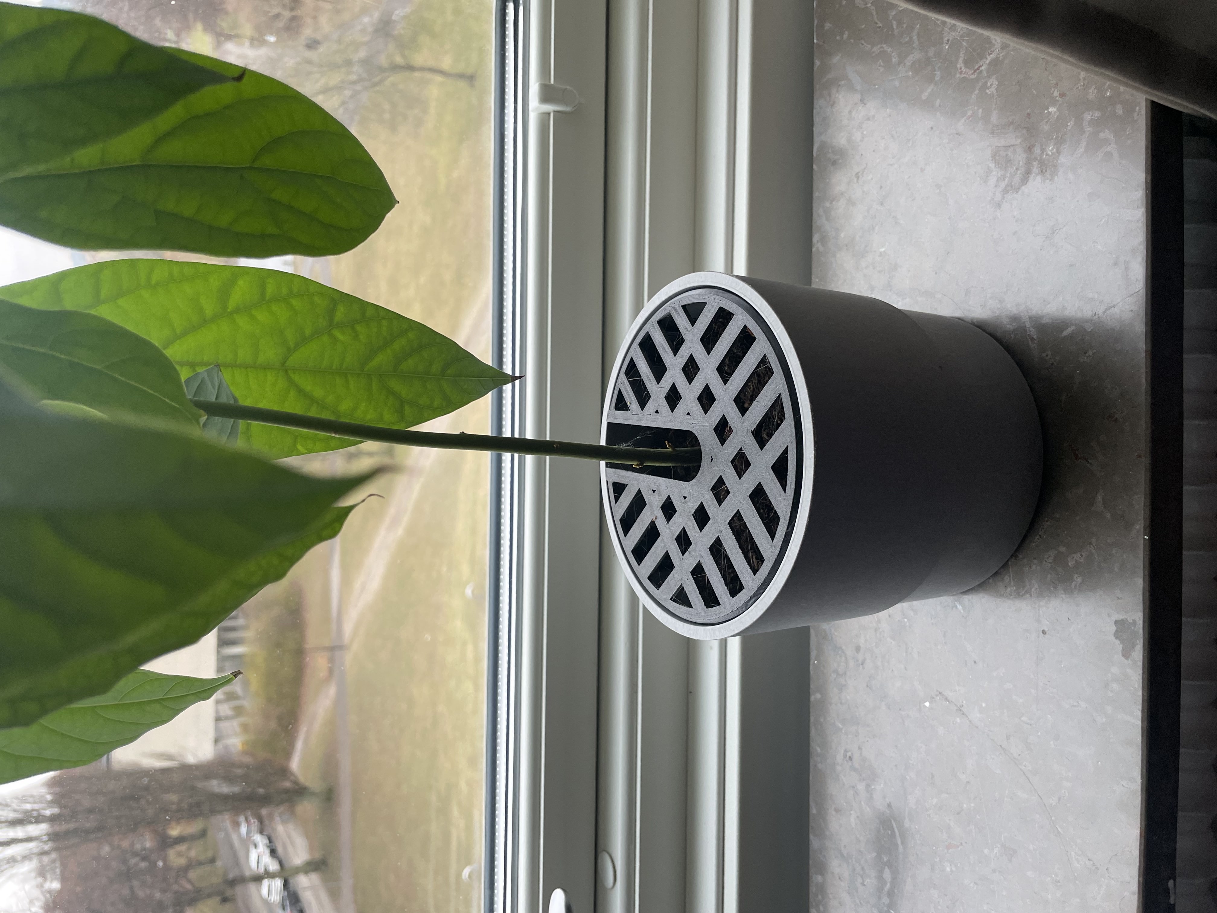 Anti-cat defence system for potted plants