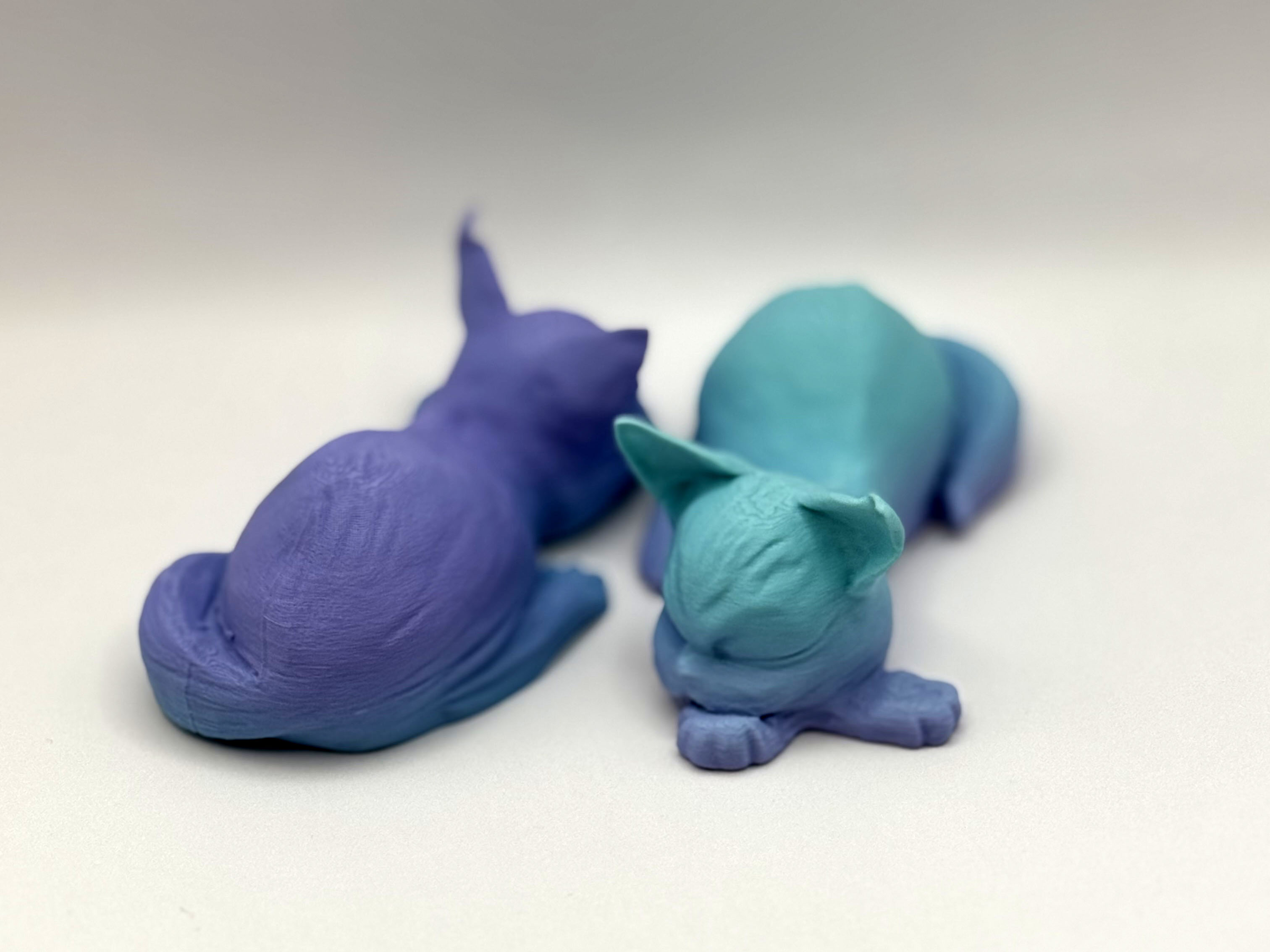 Resting Kitten — miniatura 2