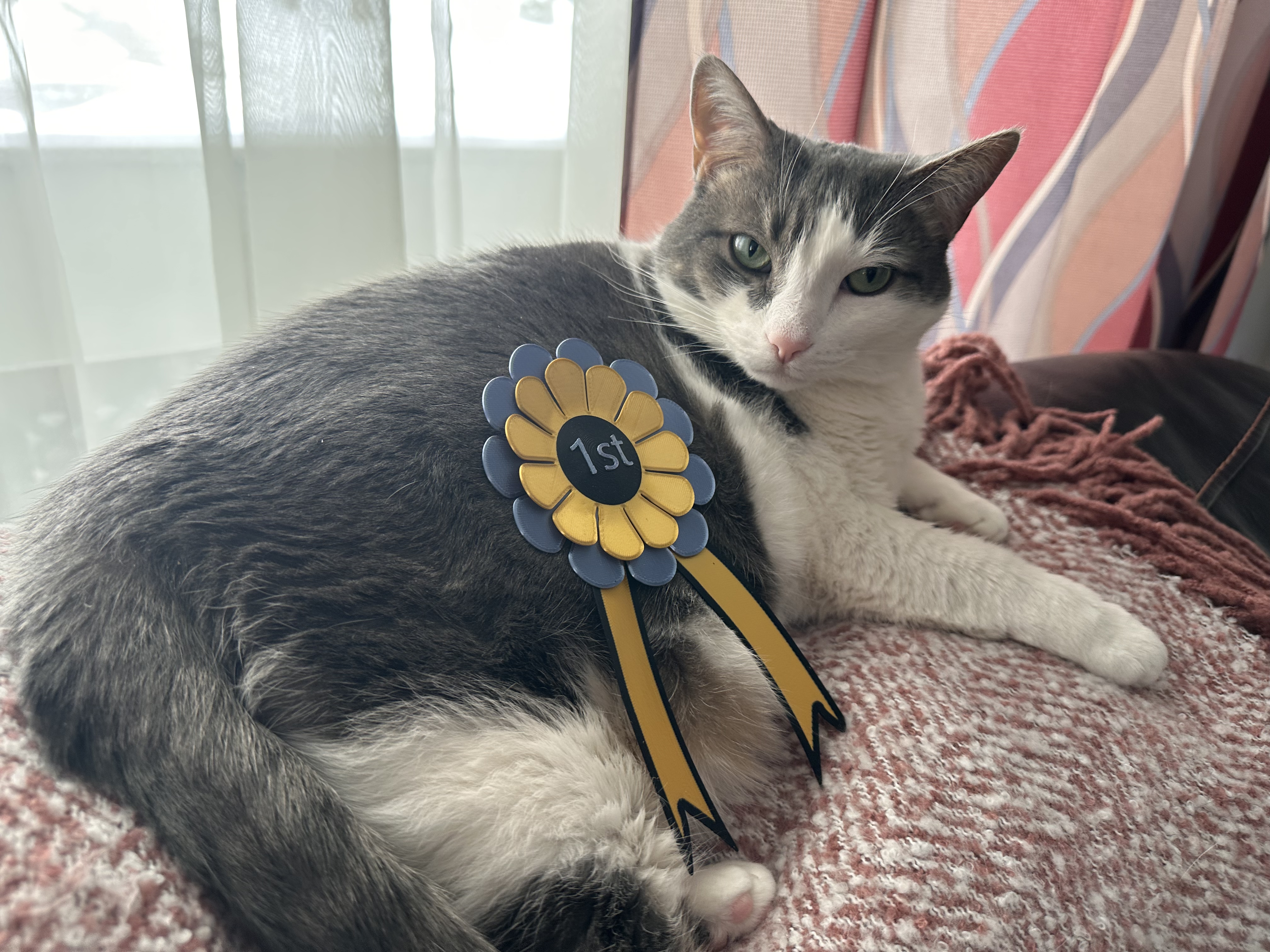 1st Place Ribbon