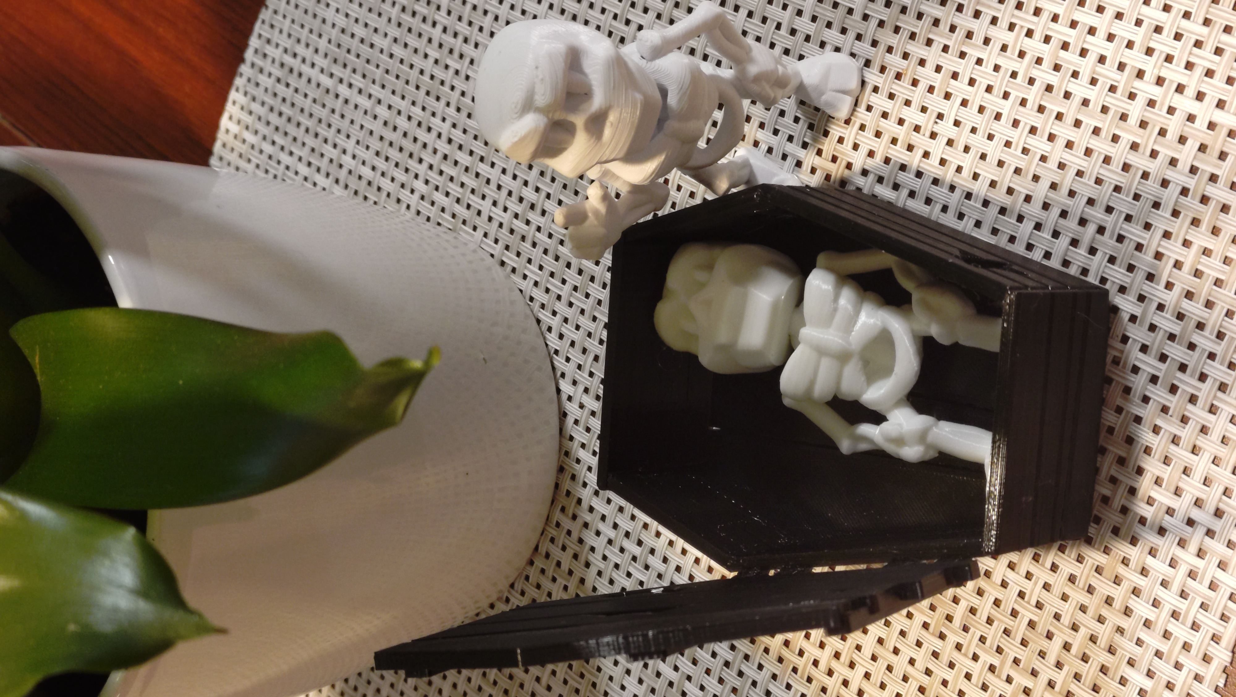 Rakev pro Mini Skeleton