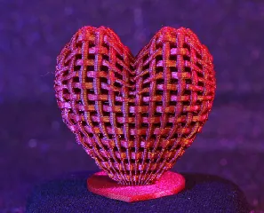 Woven Heart