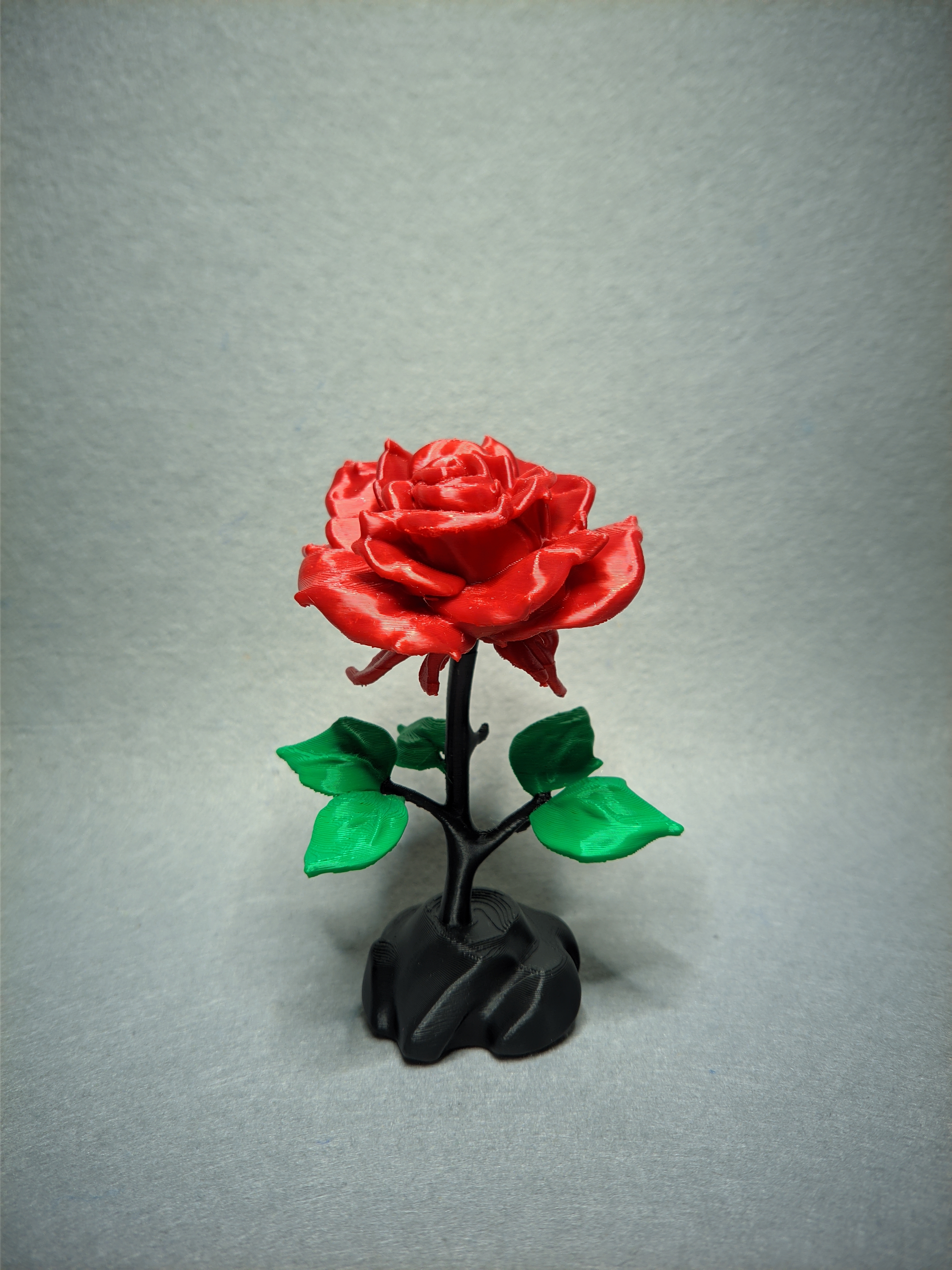 Just another Rose.