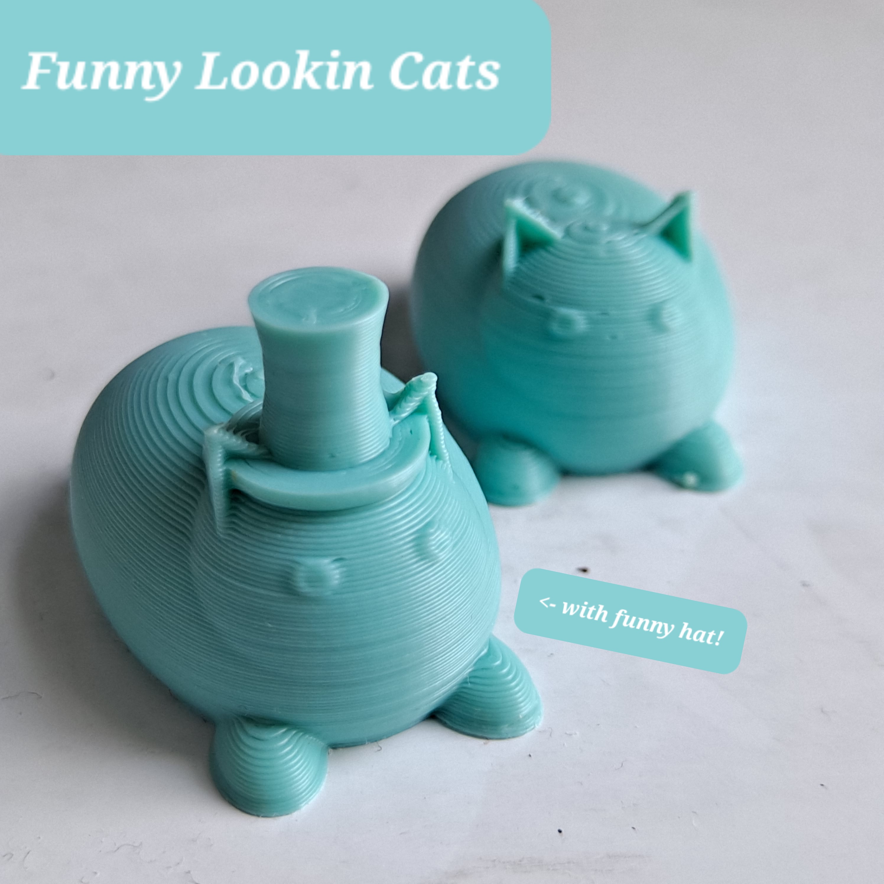 Funny Lookin' Cat