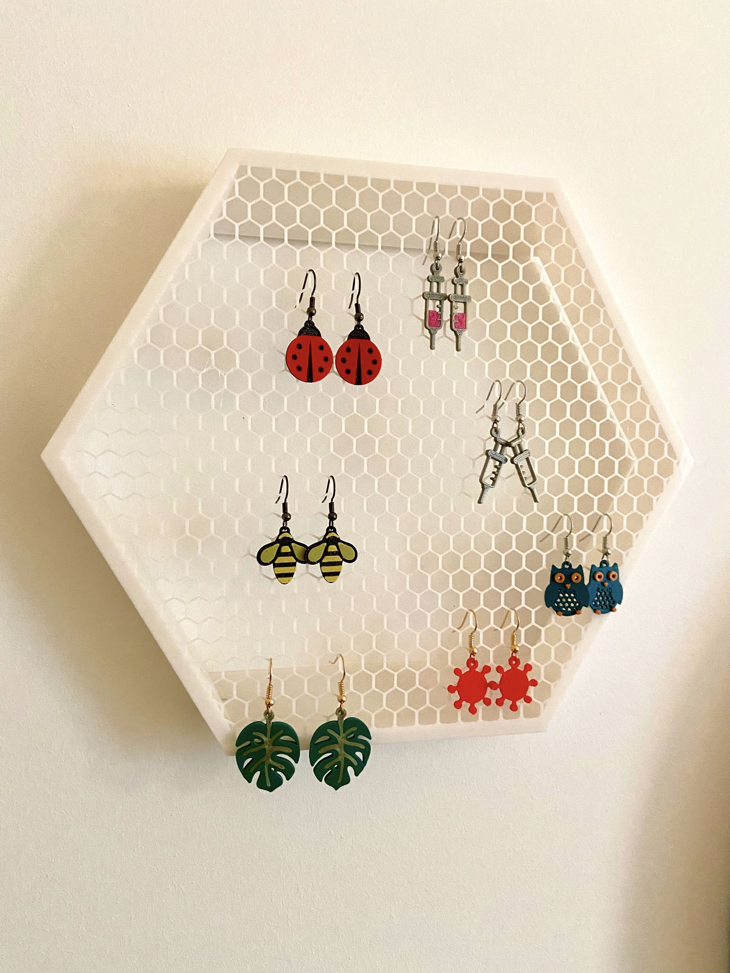 Earring display & storage