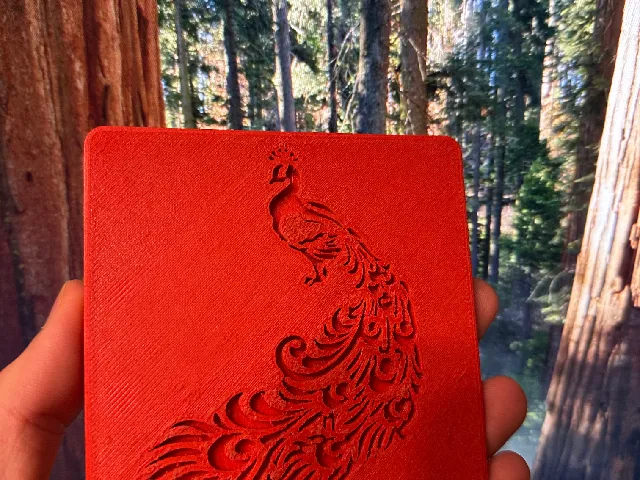 Peacock coaster