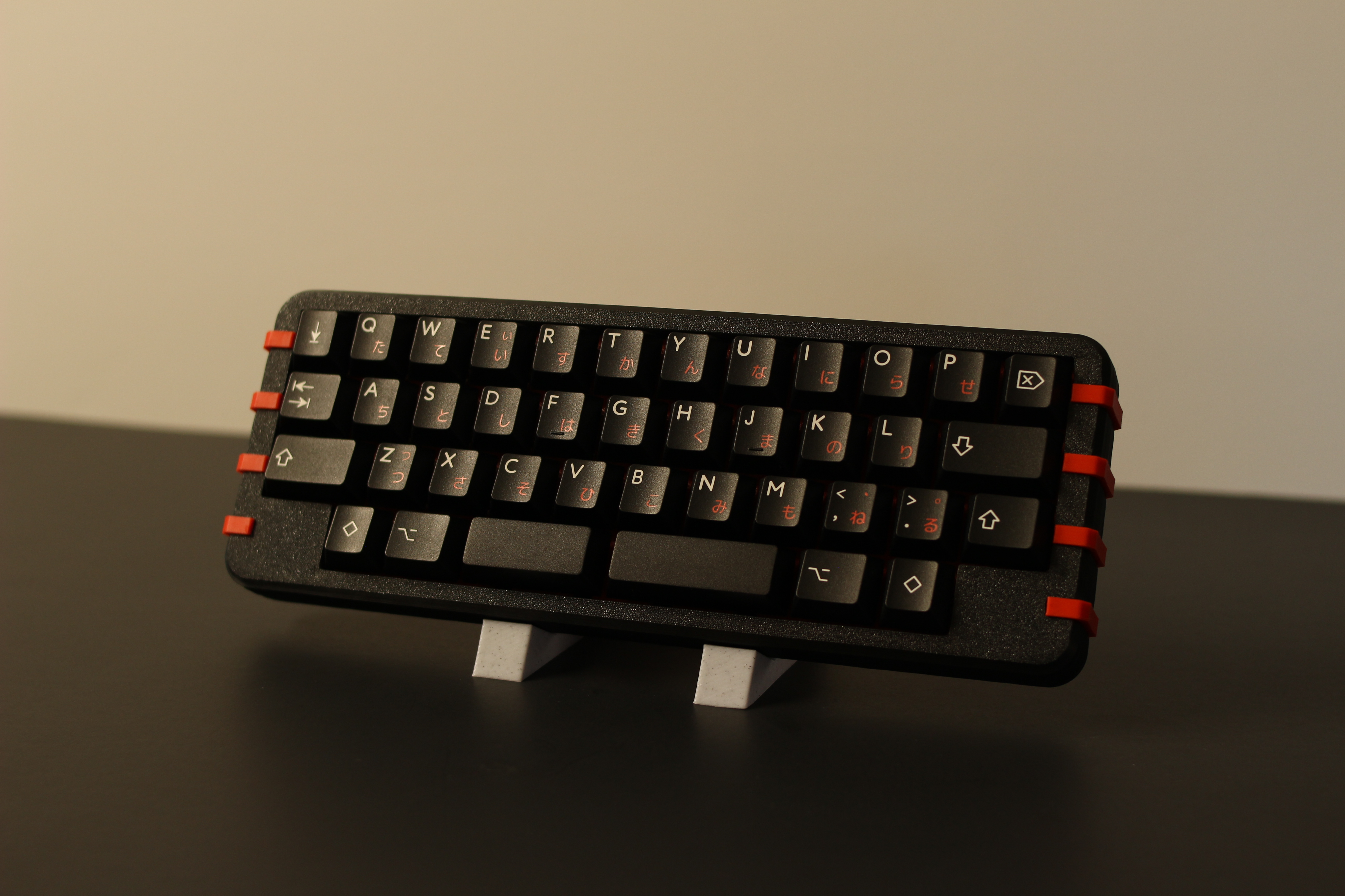 Ribcage - Skelett 40 case - KAY-004