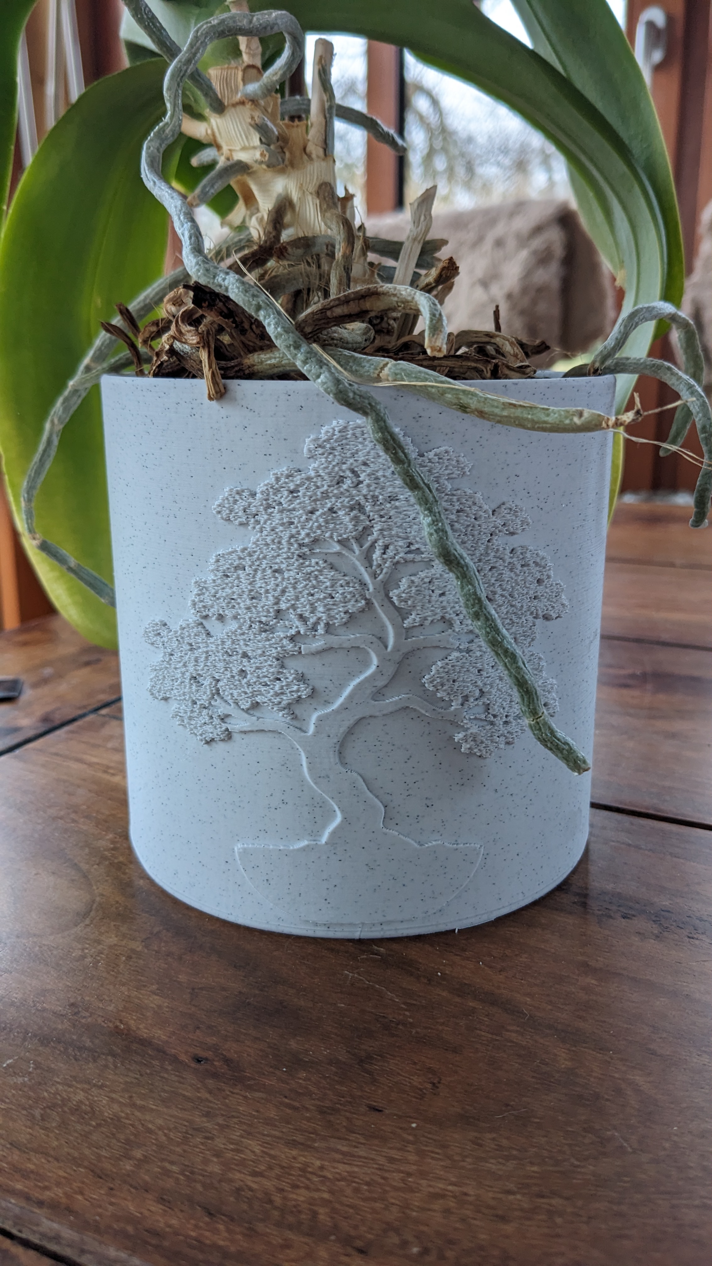 Bonsai Pot