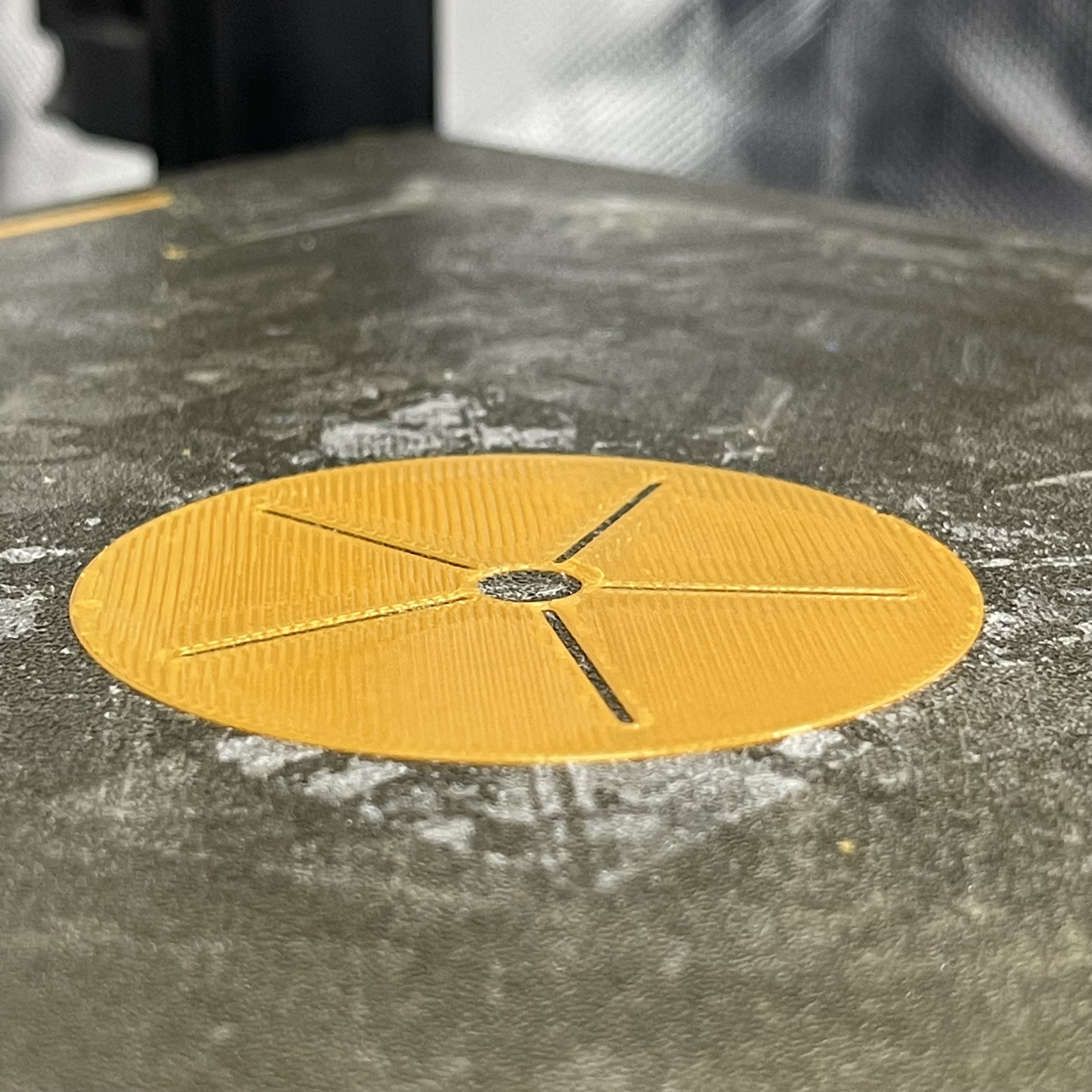 One-Layer Sand Dollar