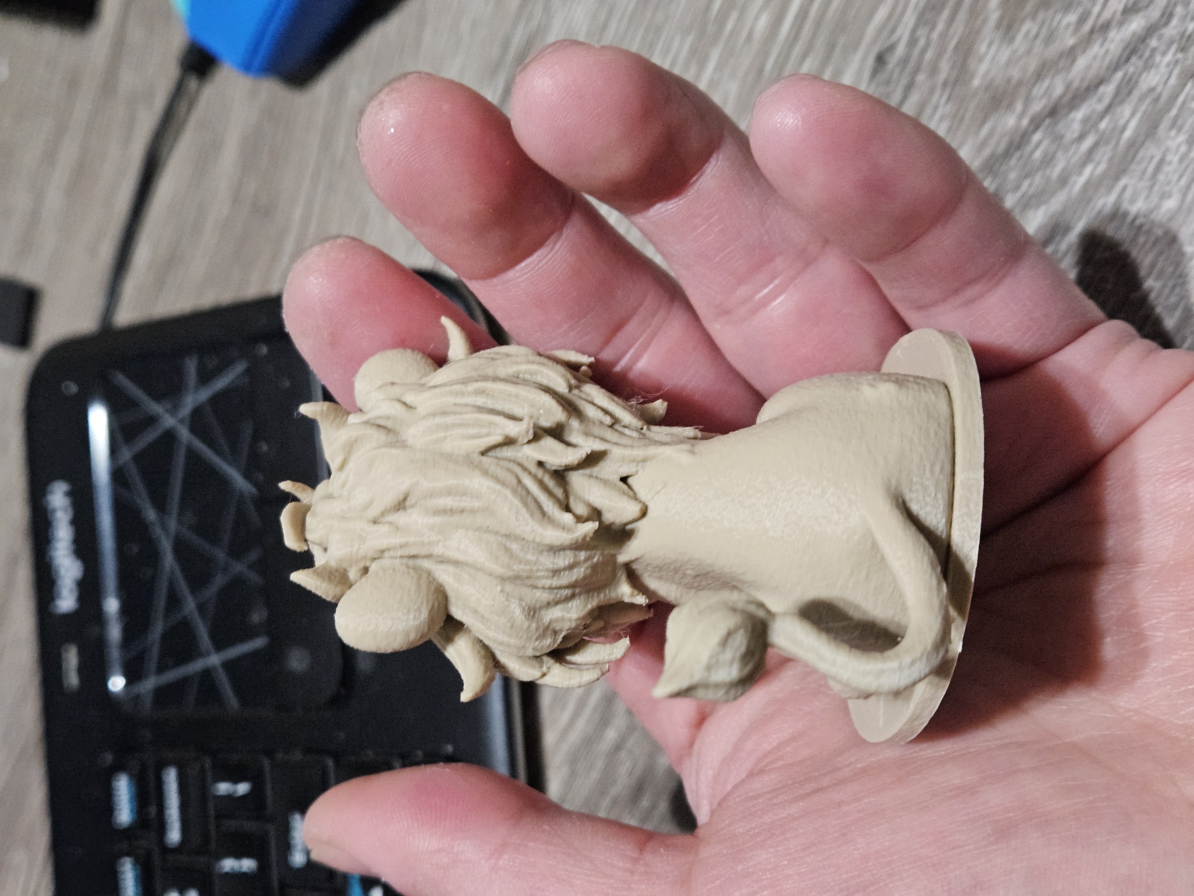 Sitting Lion Display — thumbnail 5