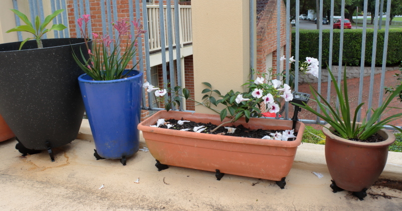 Miniatura 2 do modelo 3D Bunny Pot Plant Riser